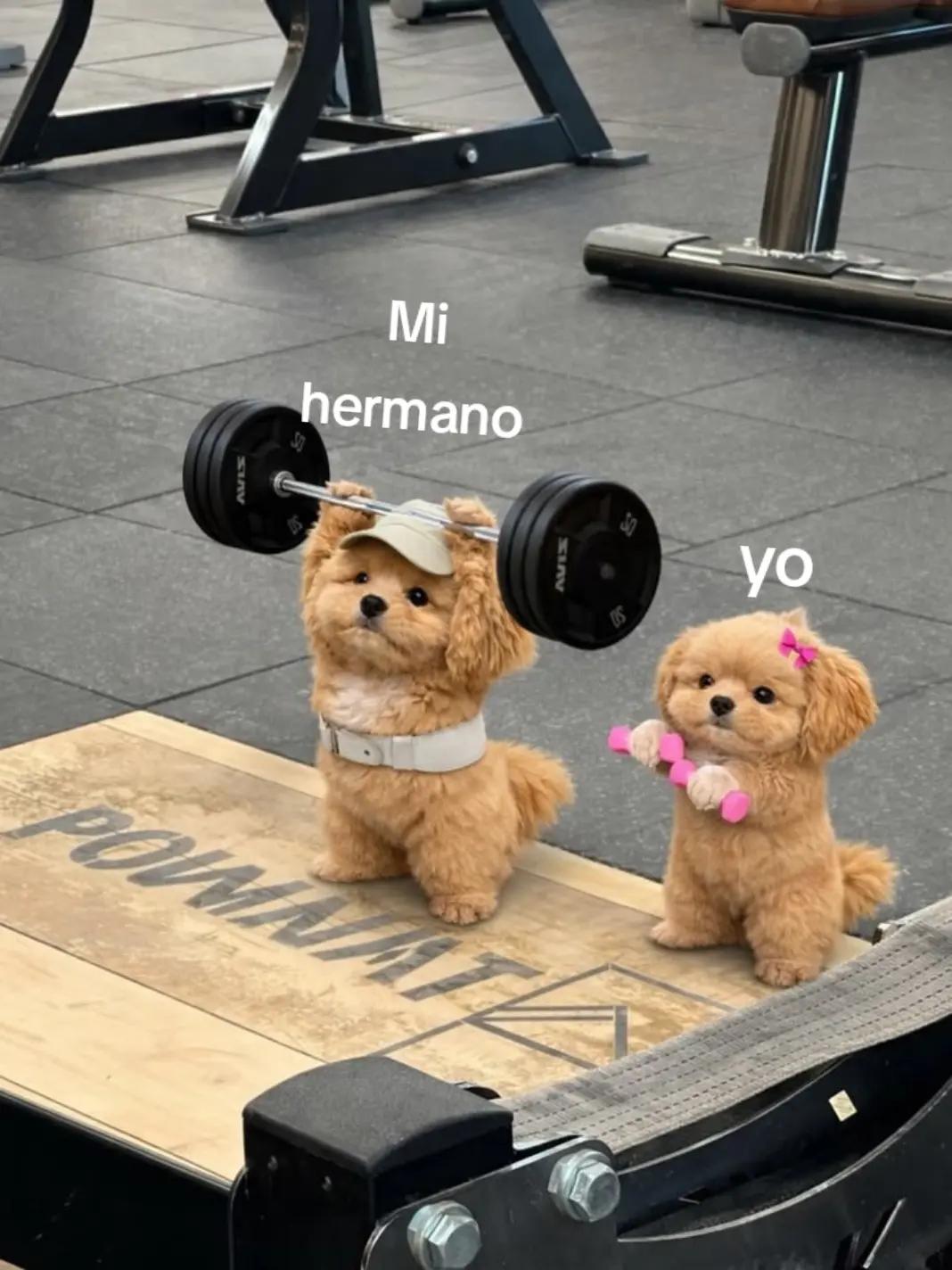 @Miau 🐱