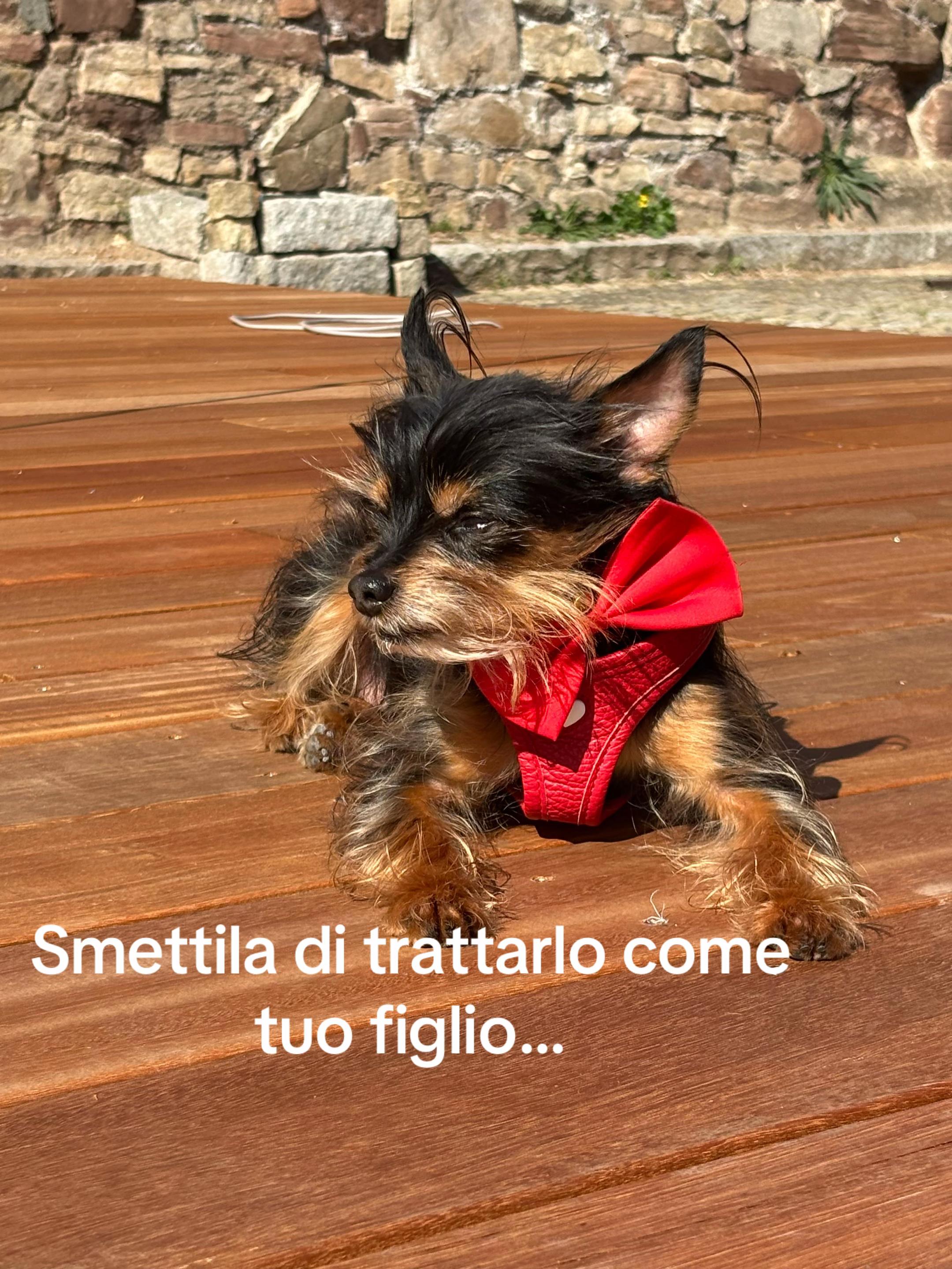 @Anna Cilia