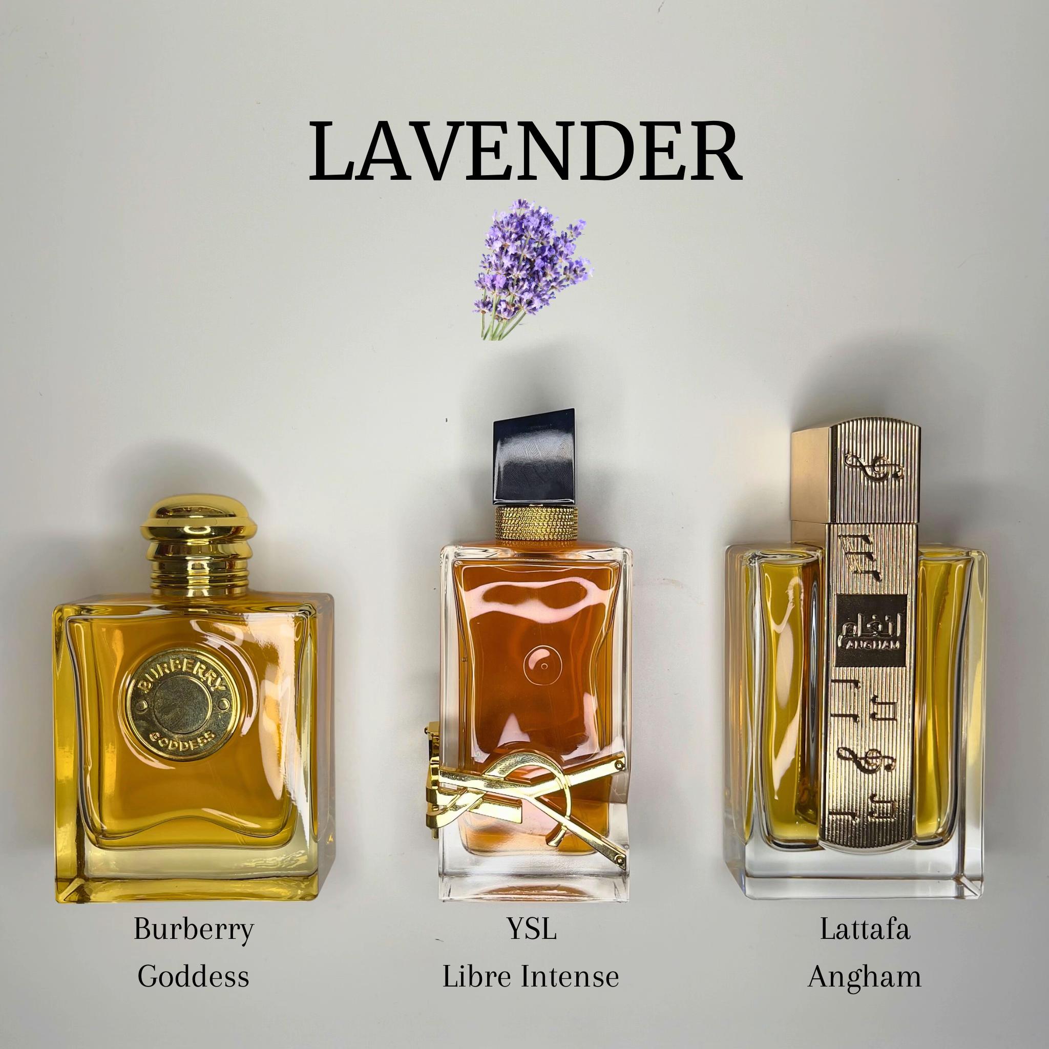 @Lolo ♡ | Perfume Diary