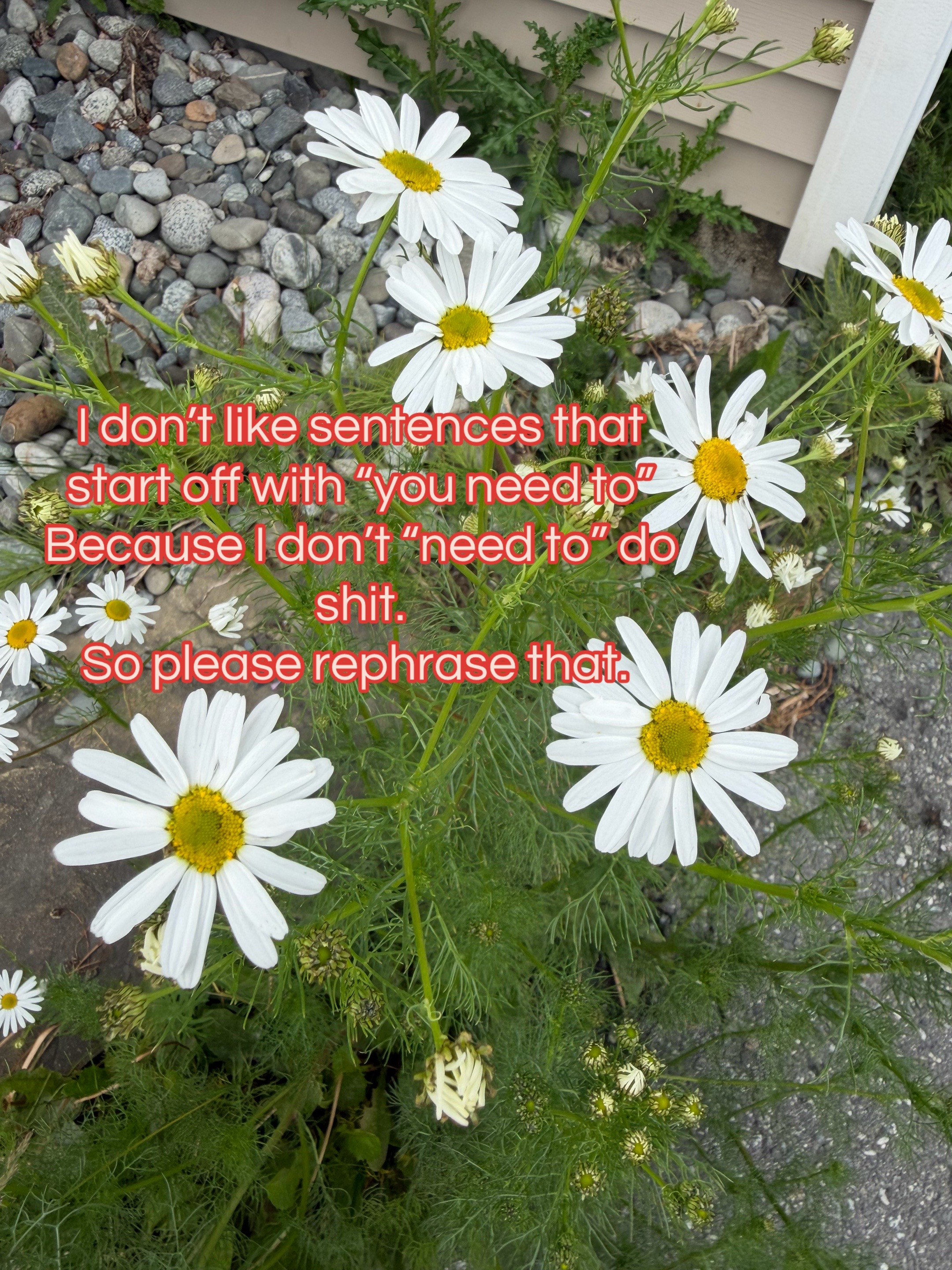 @Britt