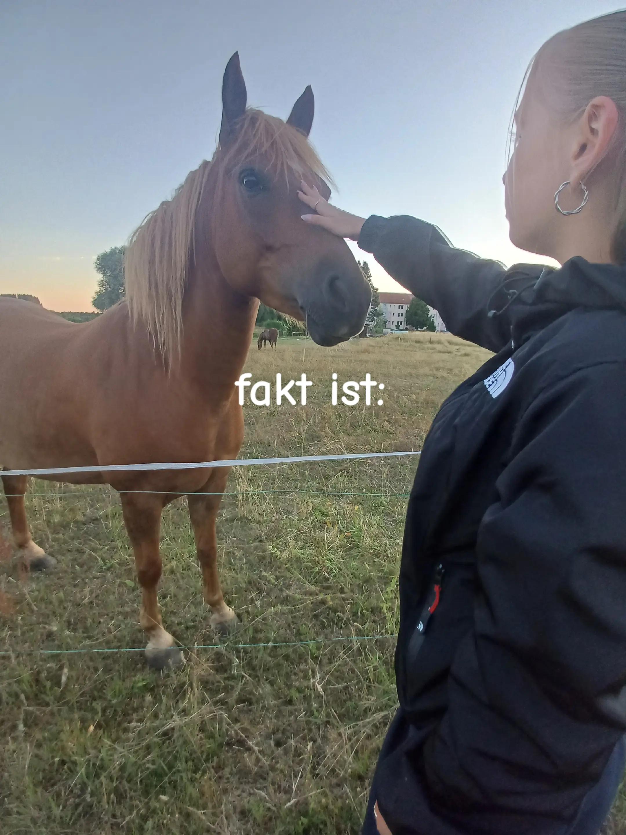 @Lena🌺🇩🇪
