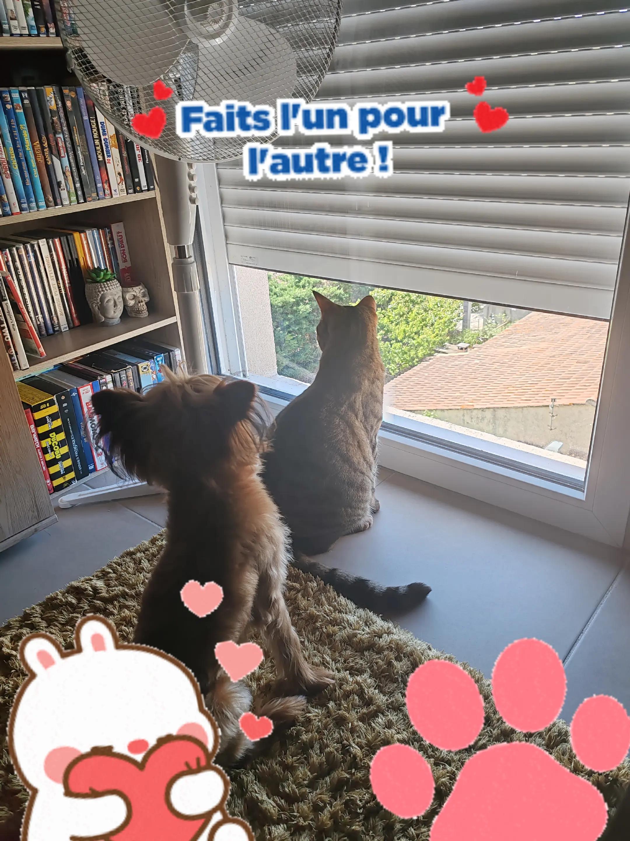 @famillesdu13