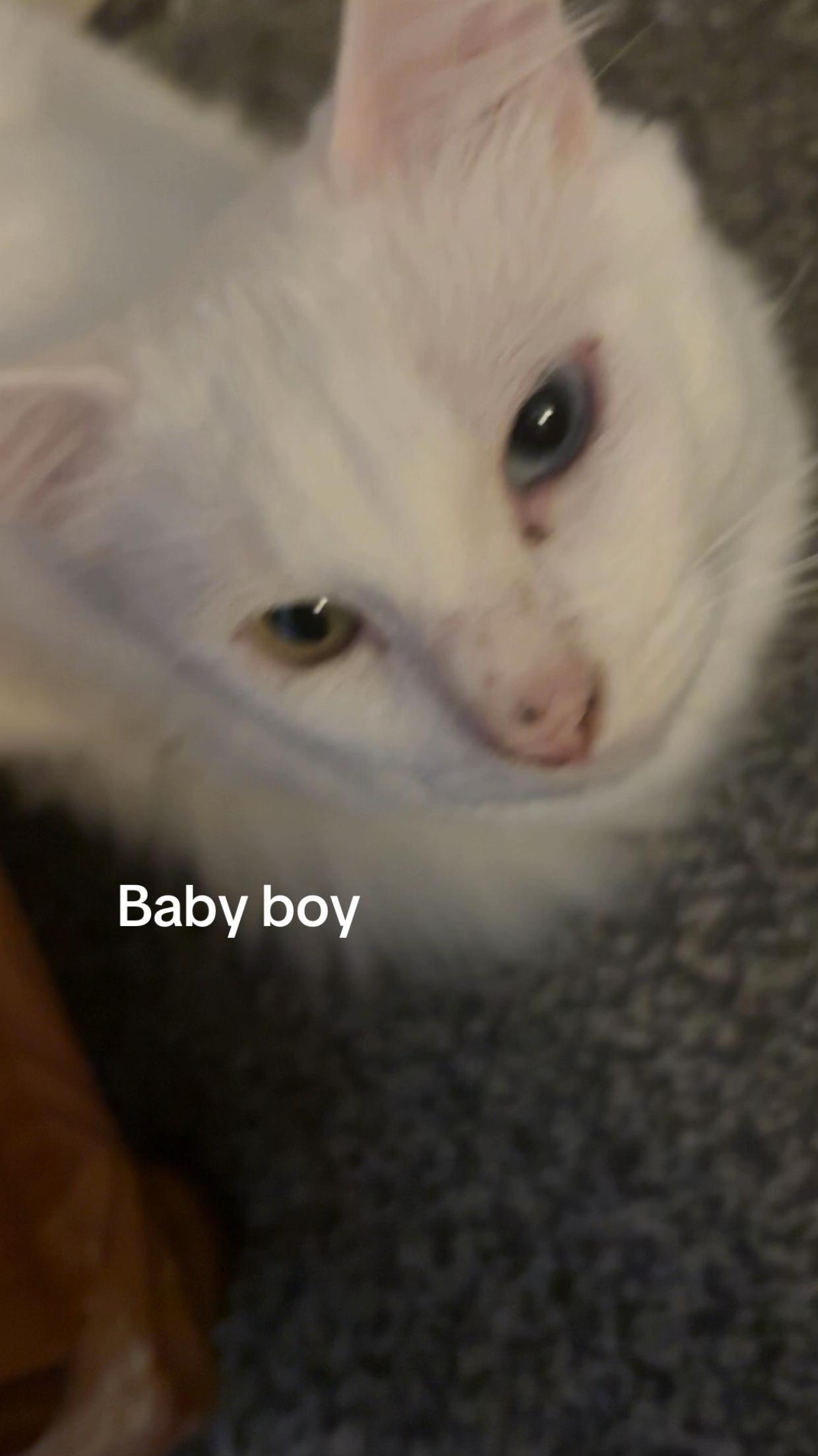 @Mclovin