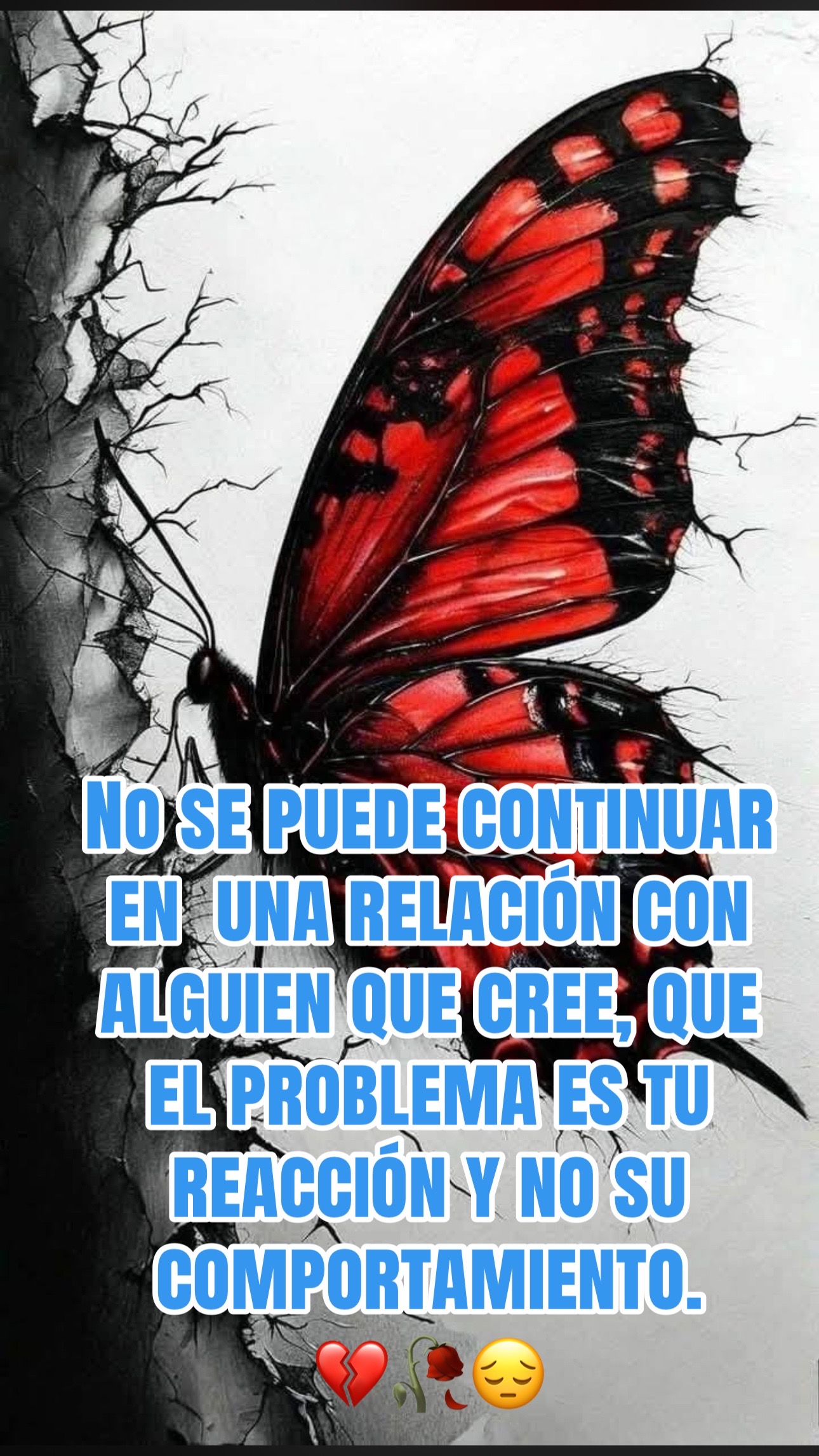 @🇲🇽🌺🇲🇽MORENA🦋🌺🇲🇽
