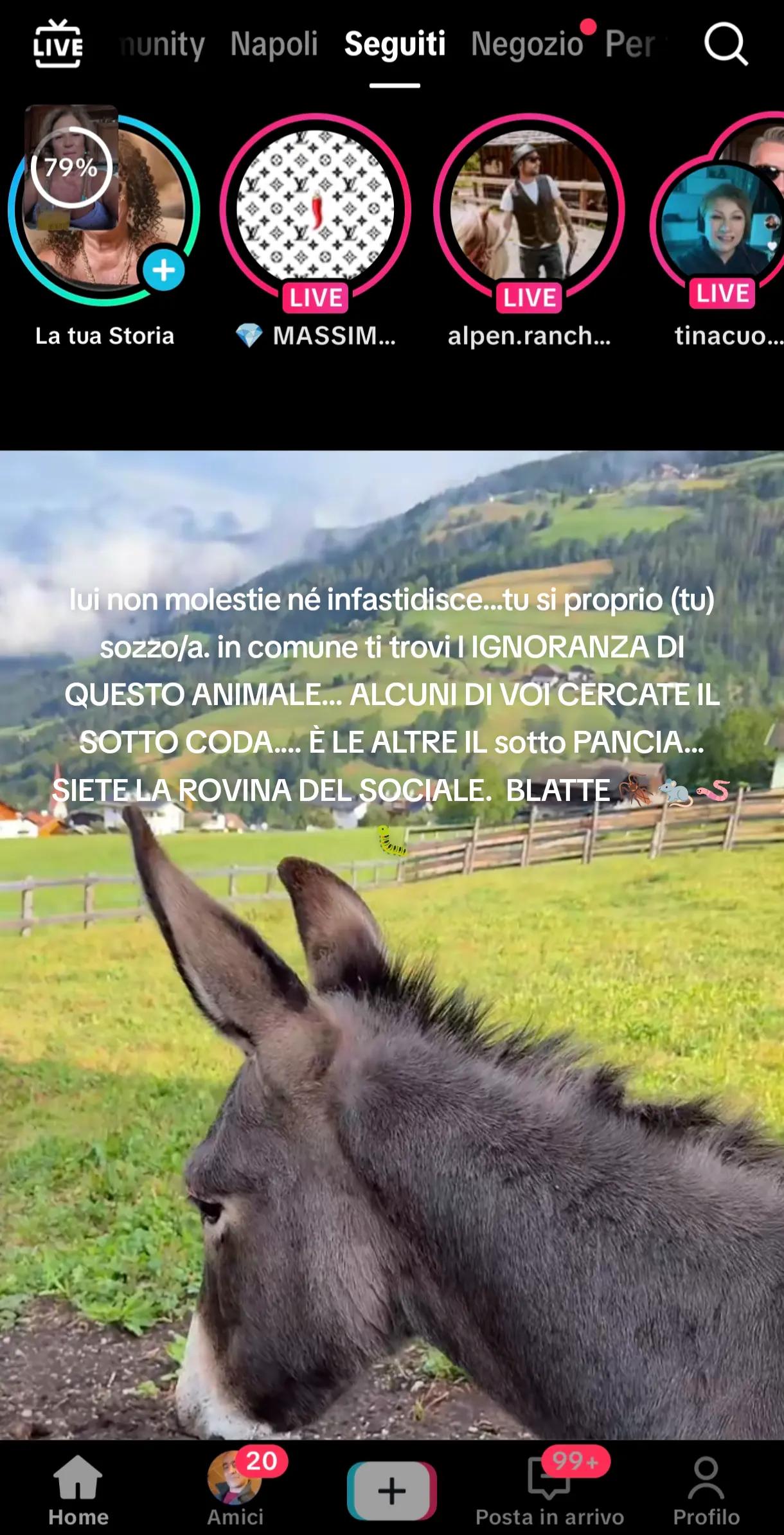 @Patriziakekapokkia