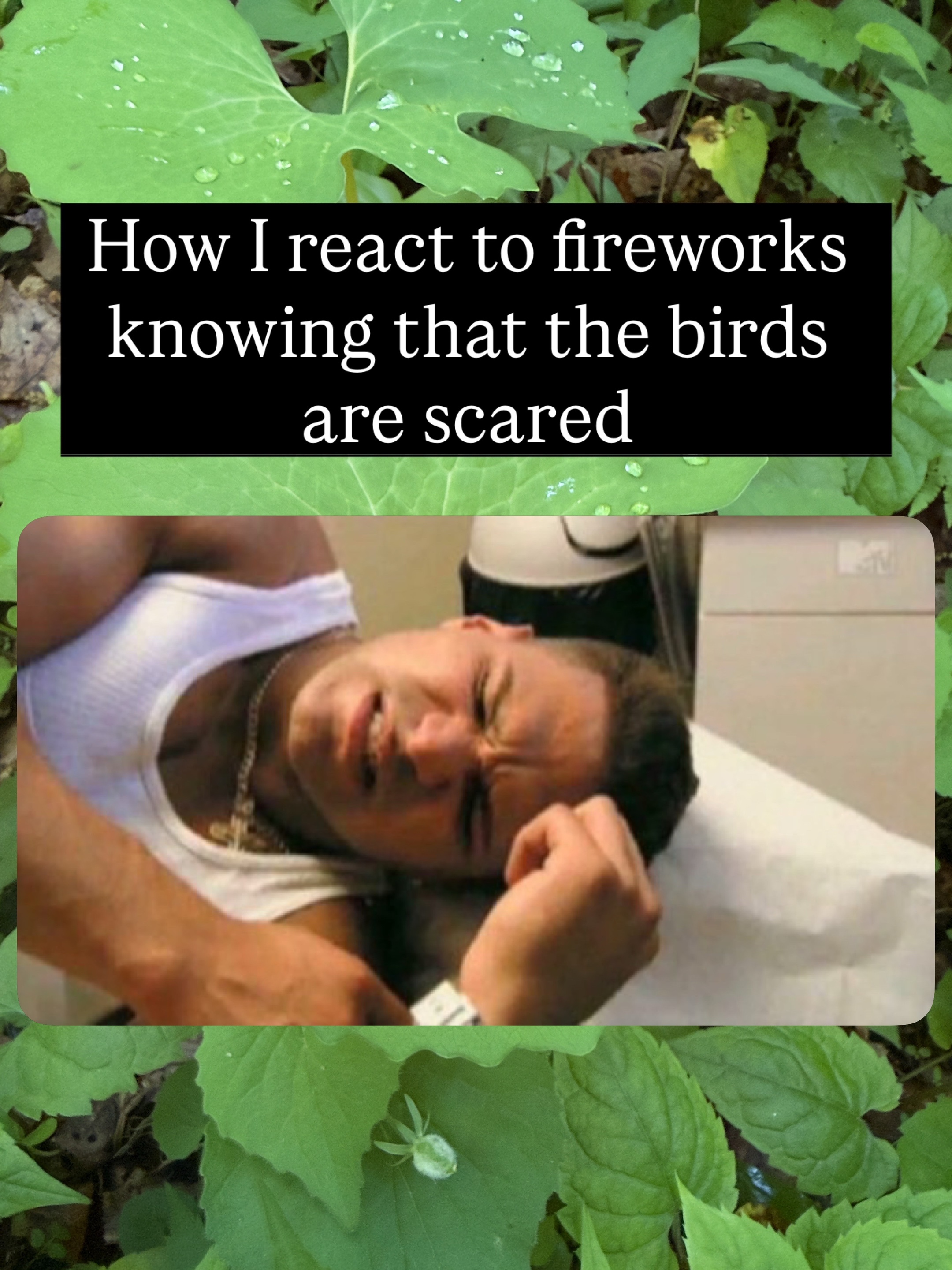 @Rydholm