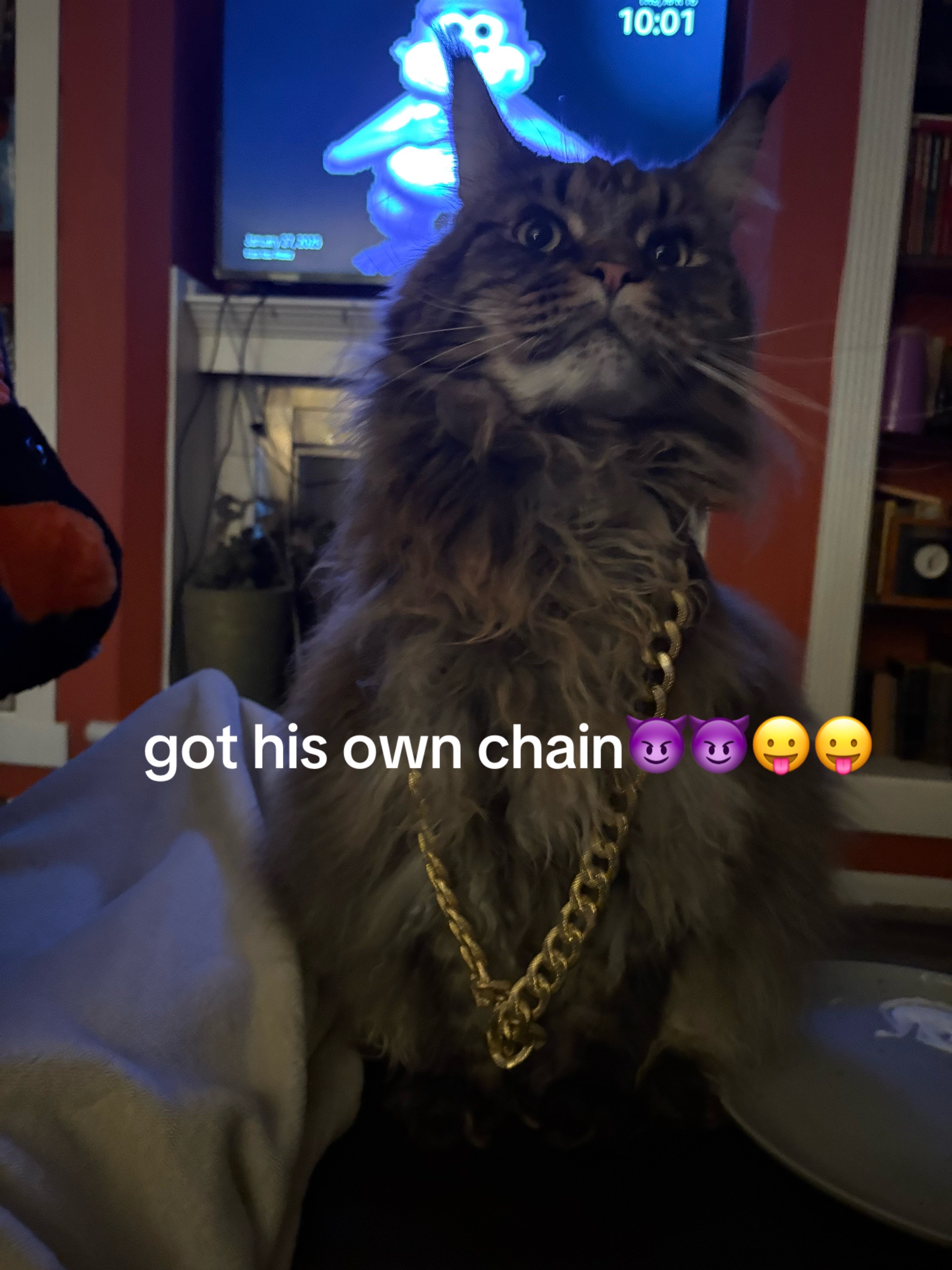 @maryyy🍄🧚🌙🐈&zwj;⬛