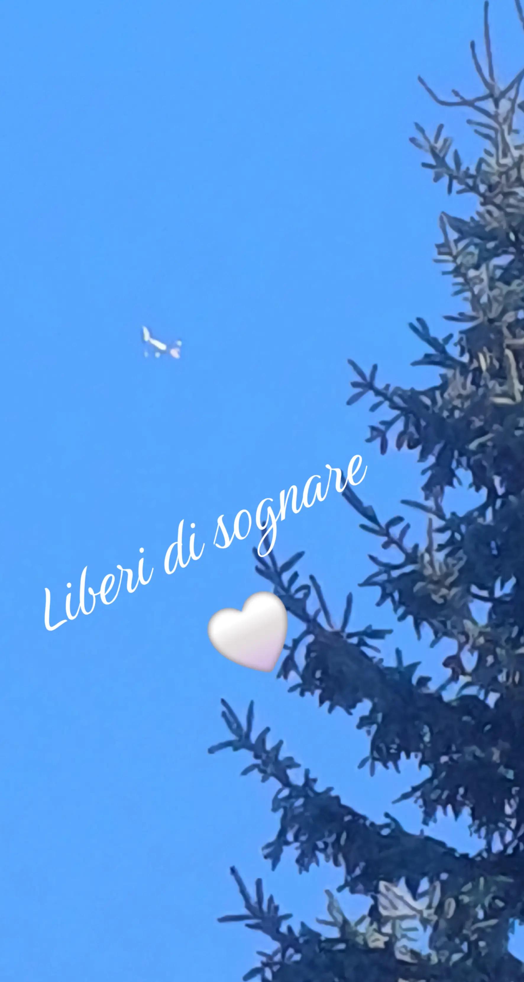 @paolocaronna1