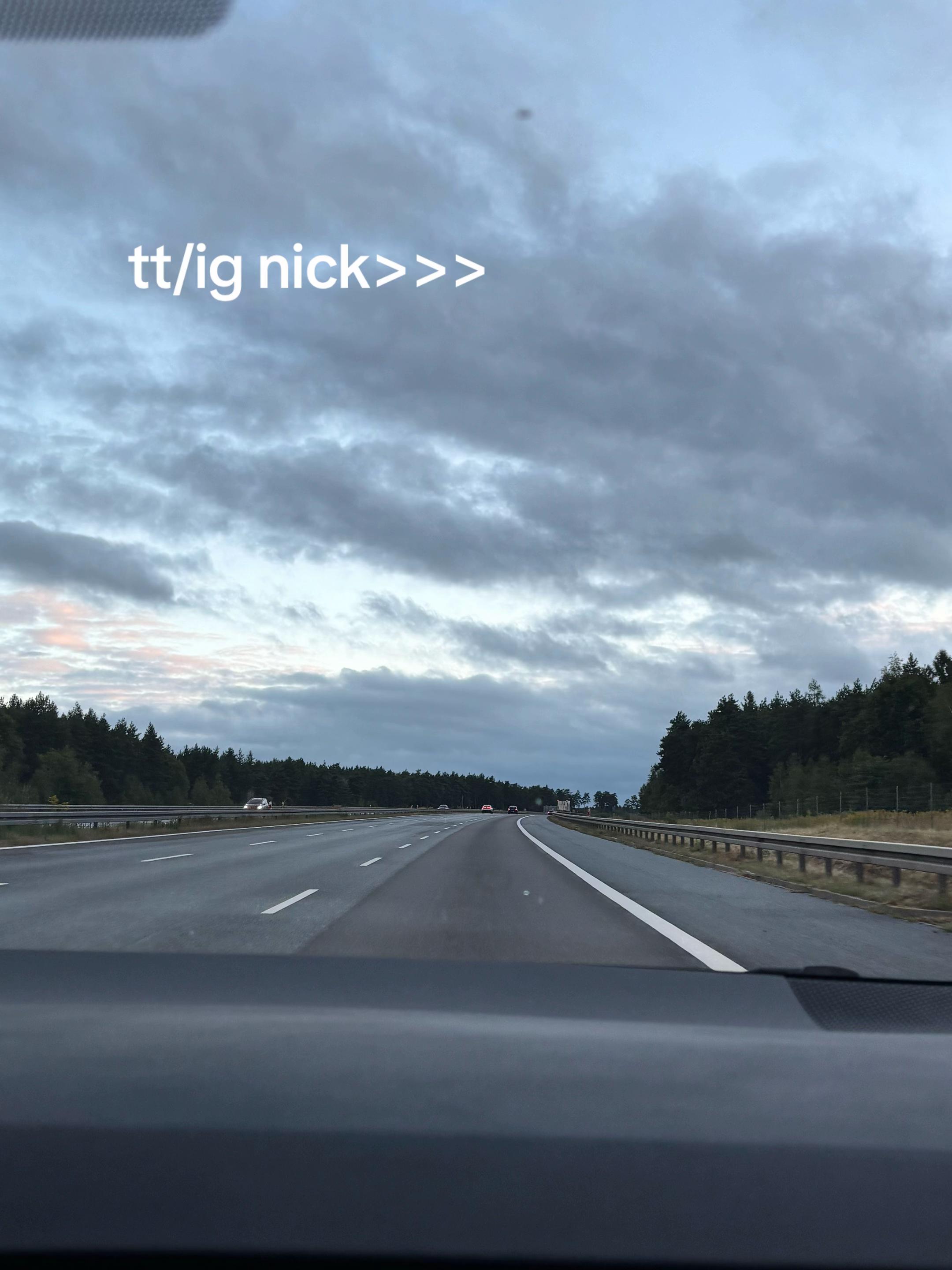 @nelxqs🐜