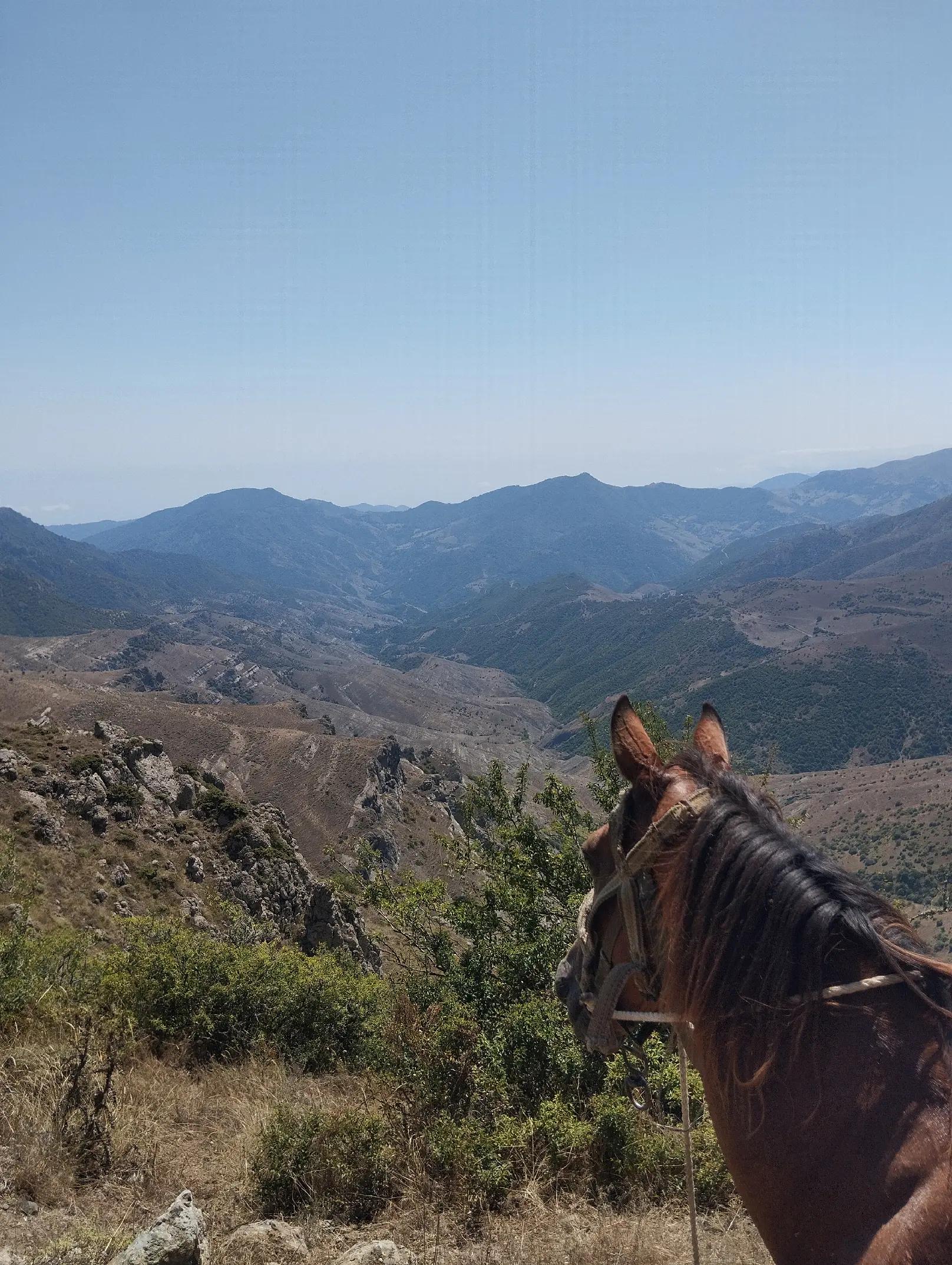 @Elgün Əlizadə