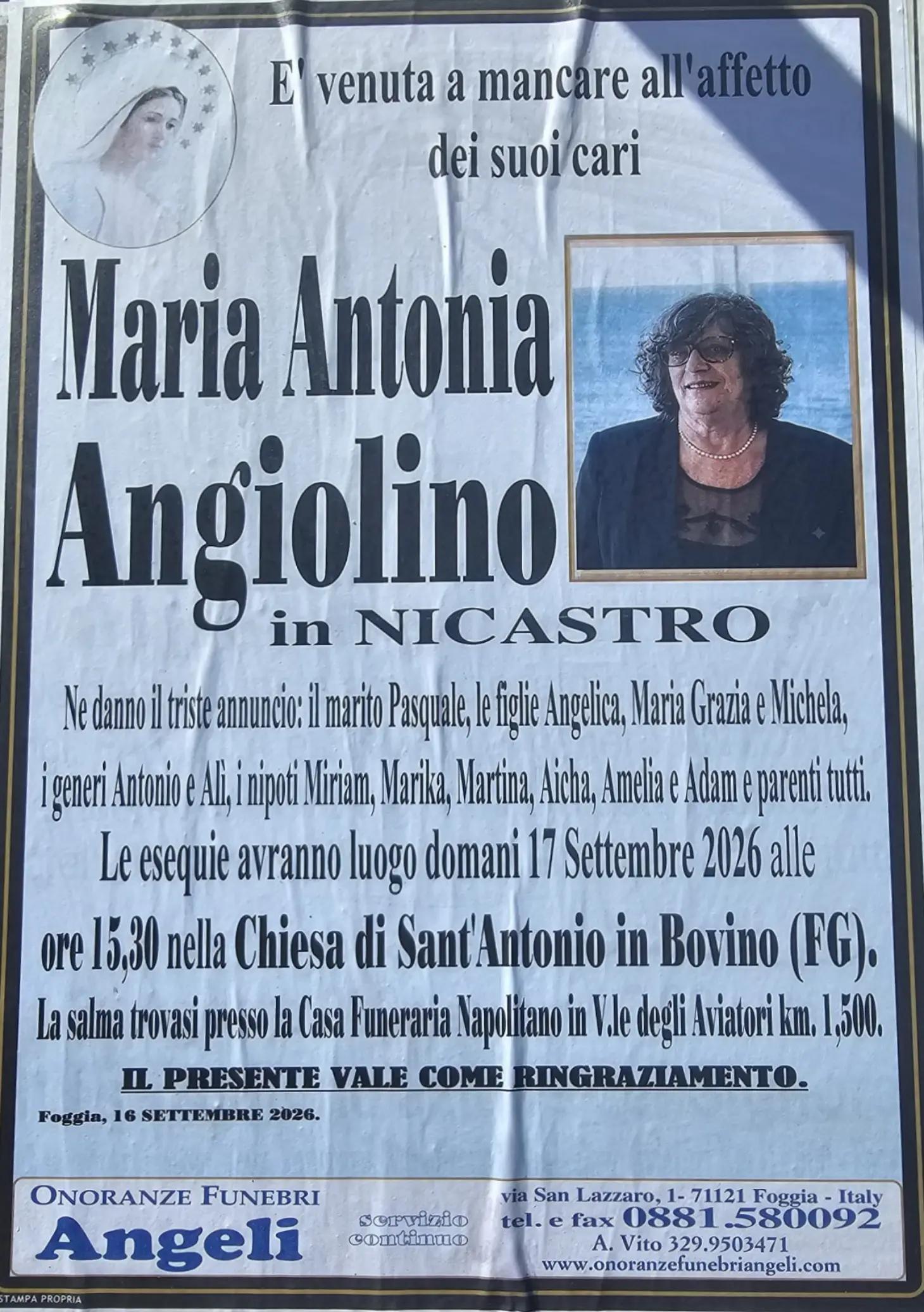 @Casa Funeraria Napolitano FG