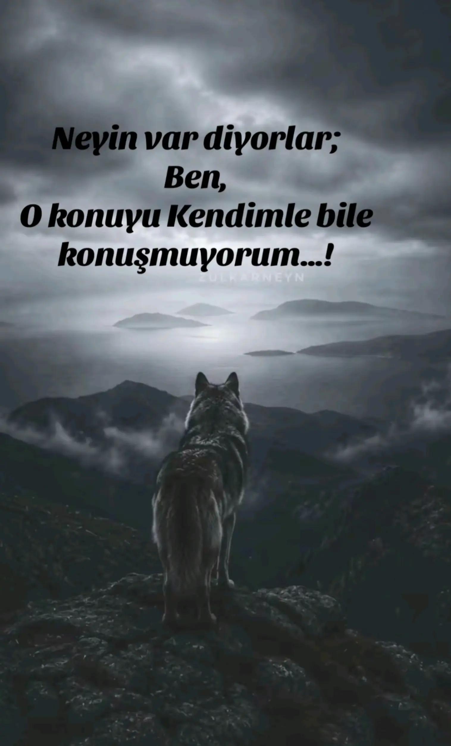 @DÜŞÜNCENİN GÜCÜ