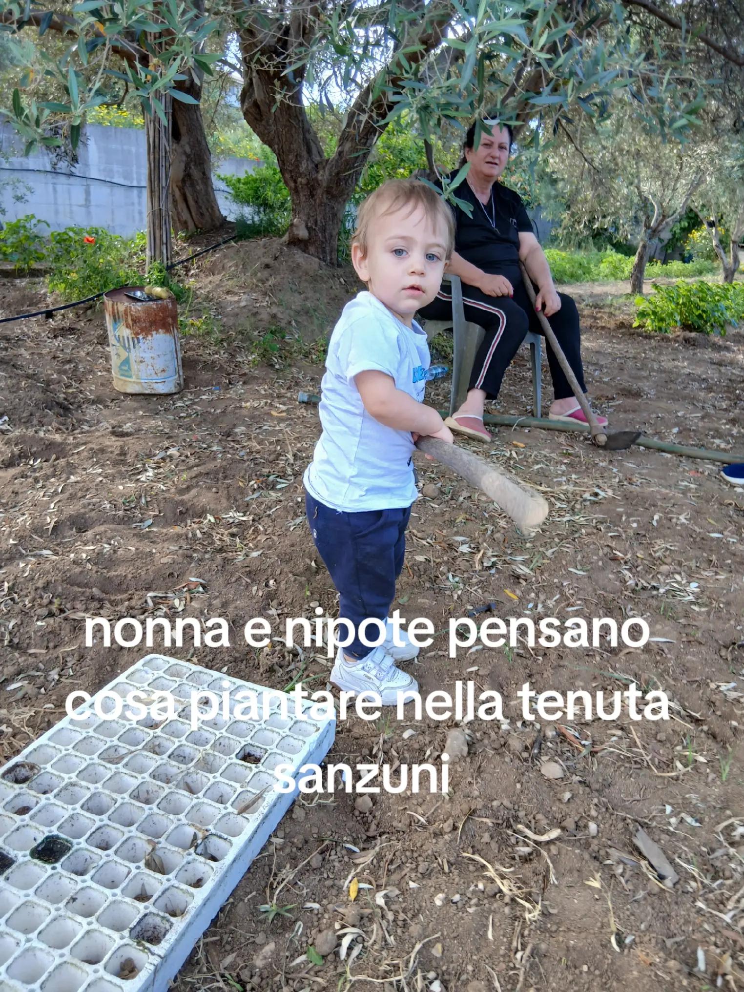 @Nicola Pasqualino( sanzuni)