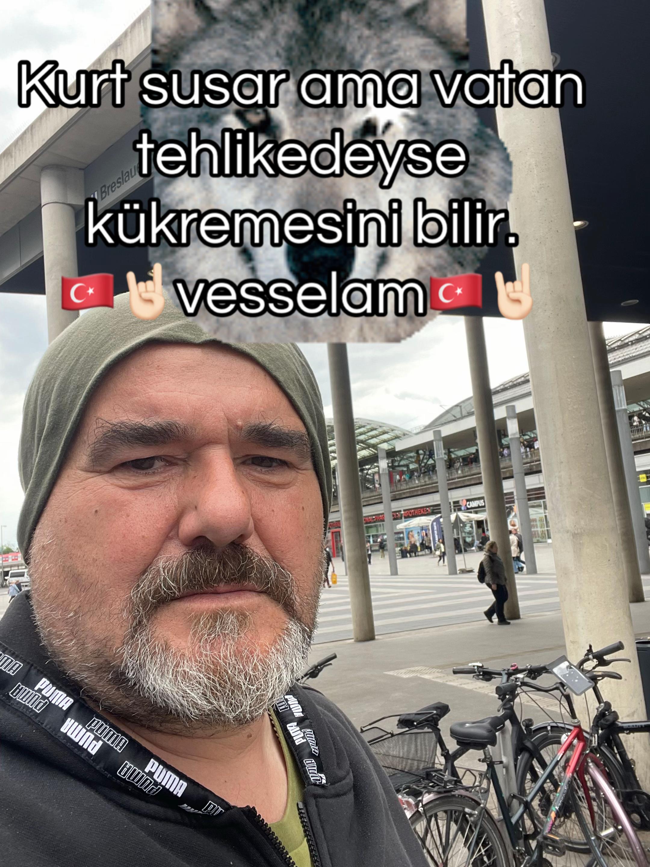 @dilavereryilmaz