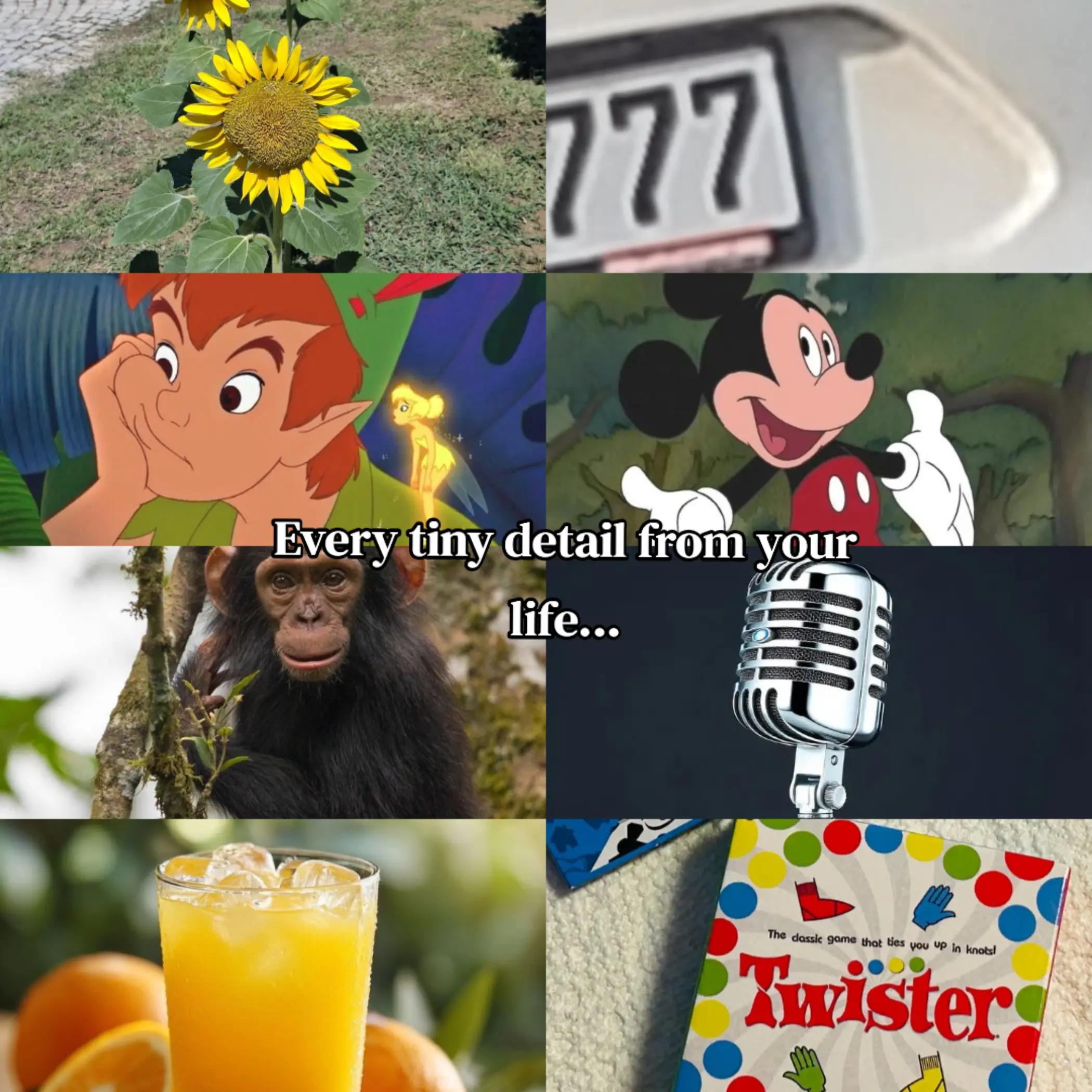 @ᴵᶻʸ🌻✨️𝟕𝟕𝟕