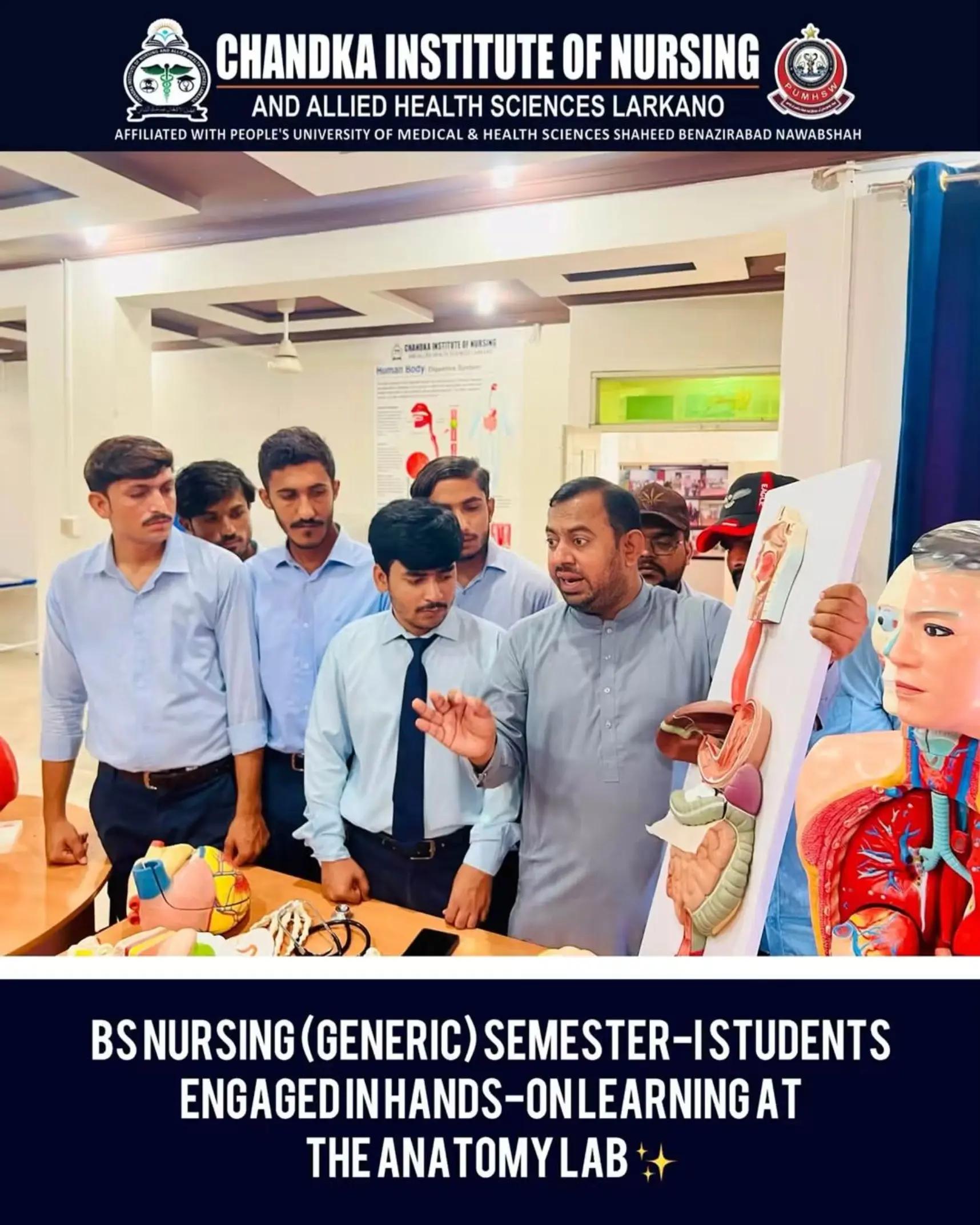 @Chandka Institute Nursing Lark