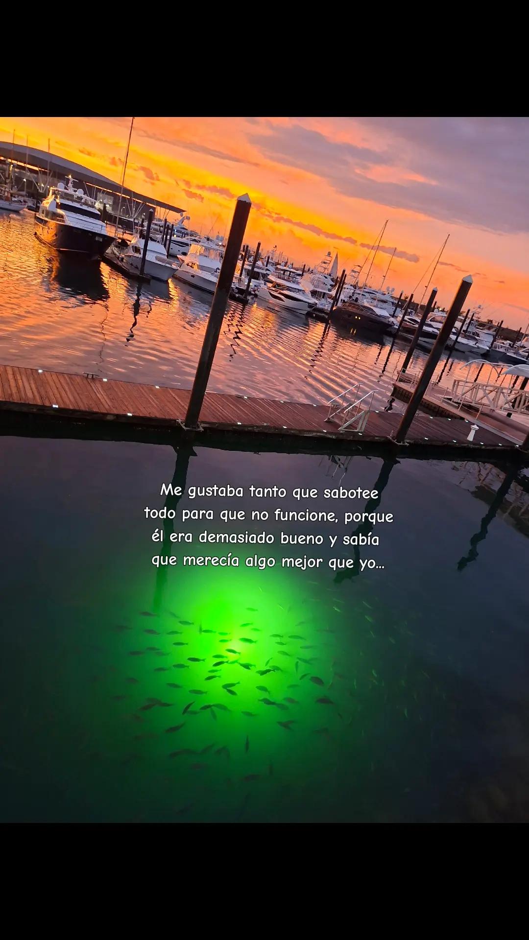 @💜 Celeste Gutierrez 💜