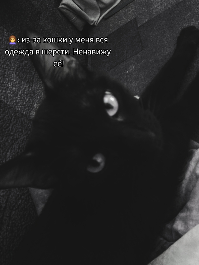 @Каринчик