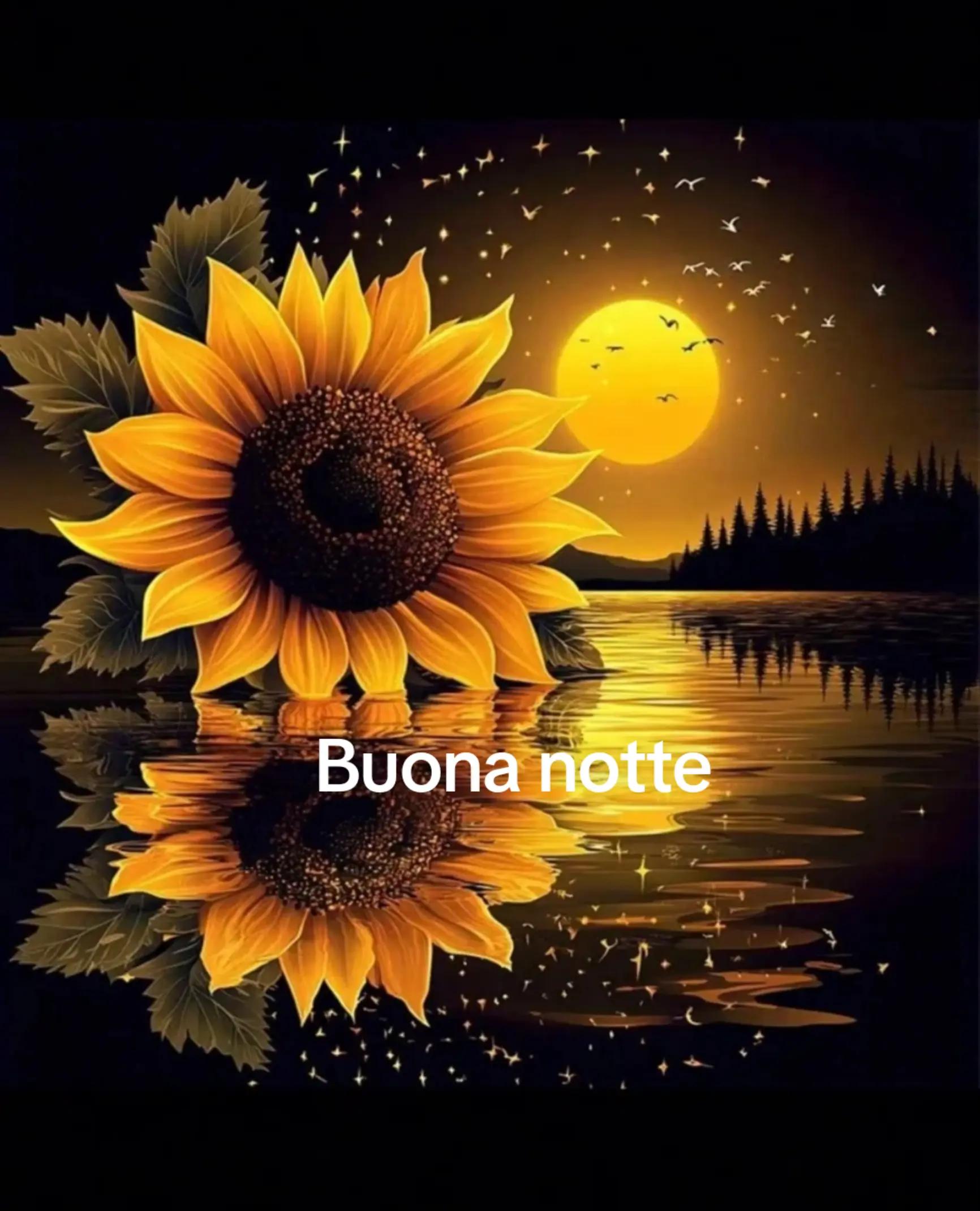 @Maria Concetta Terracina