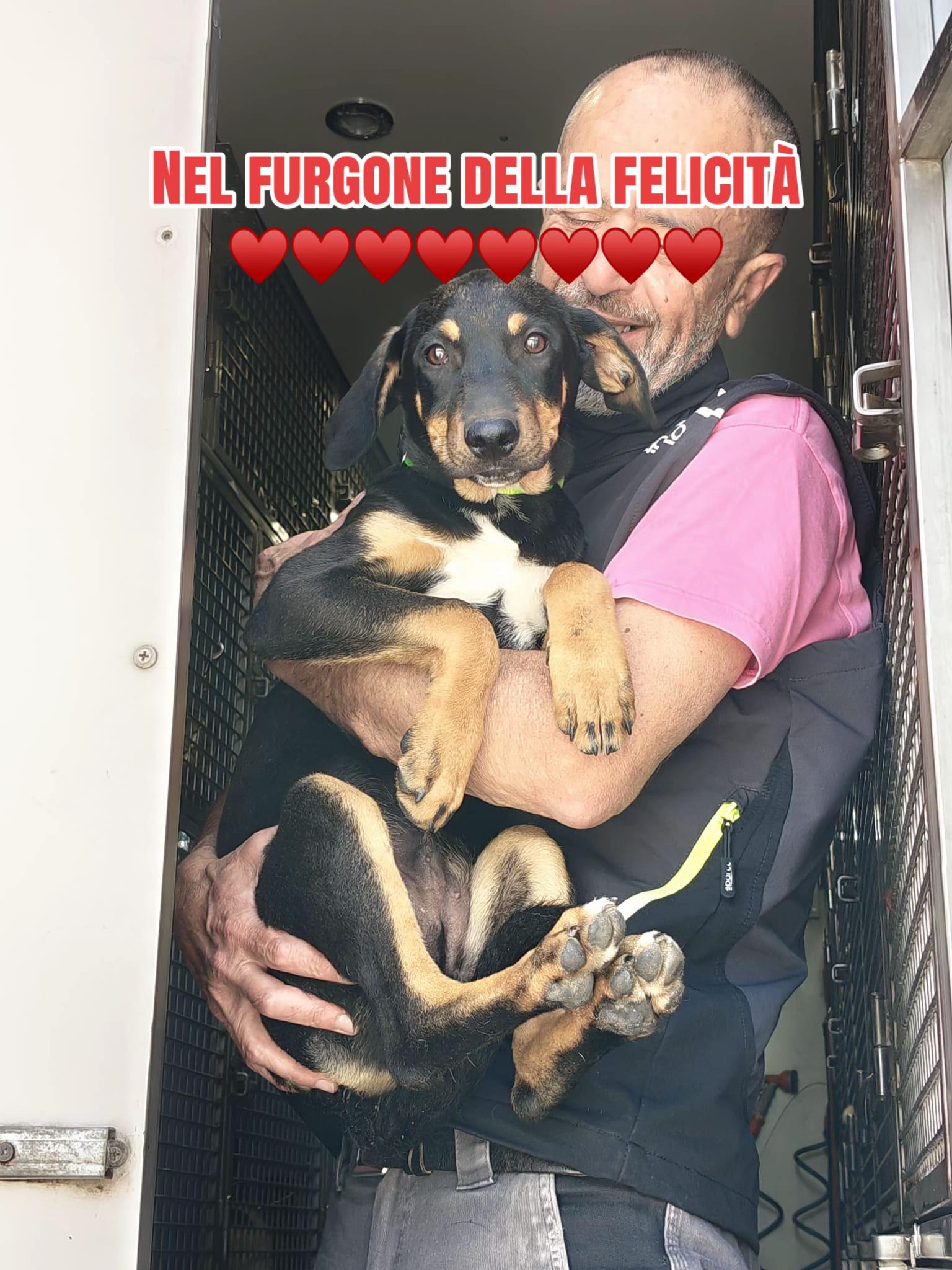 @I randagi di nessuno