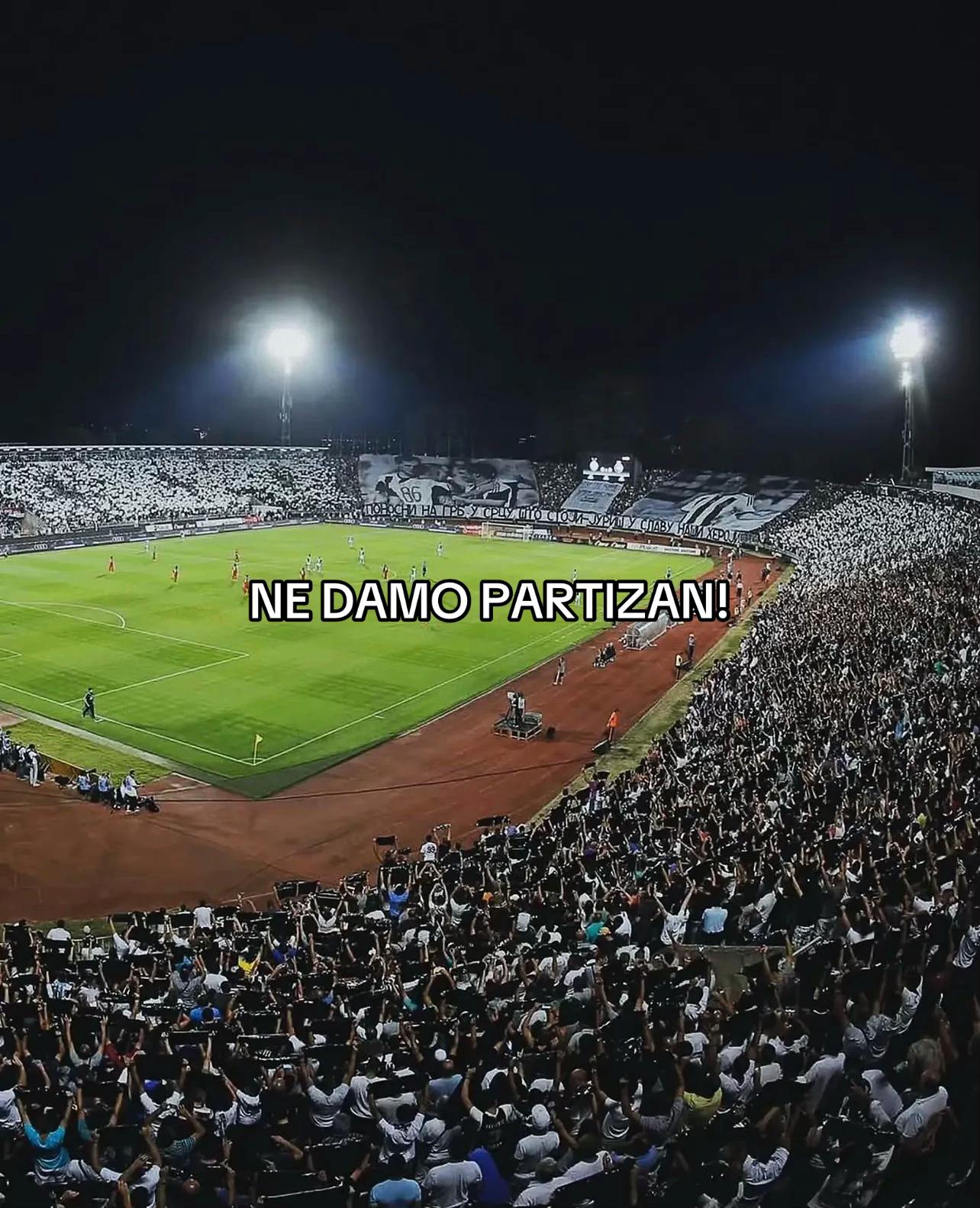 @Partizan🖤