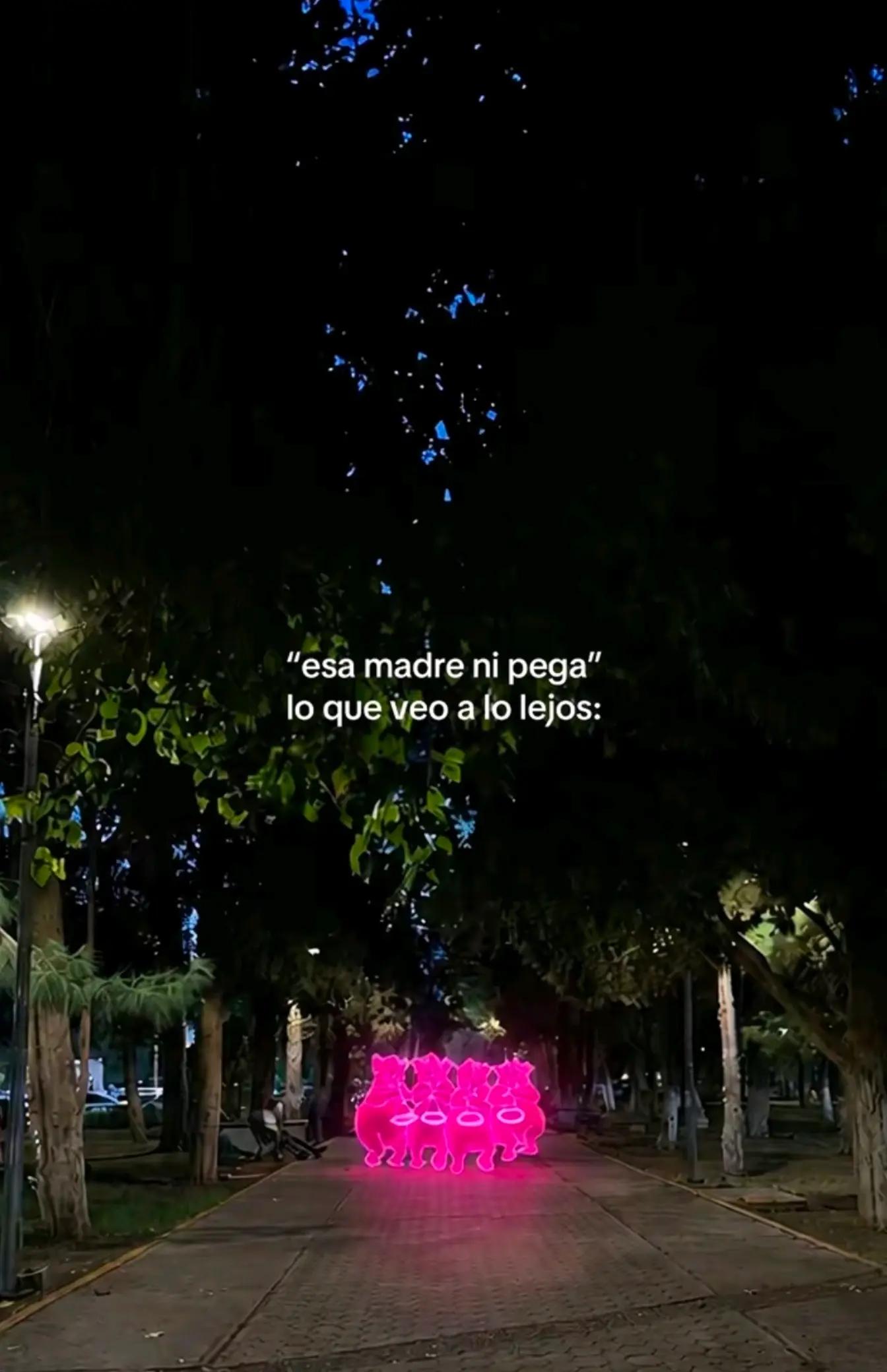 @Shantal Diaz