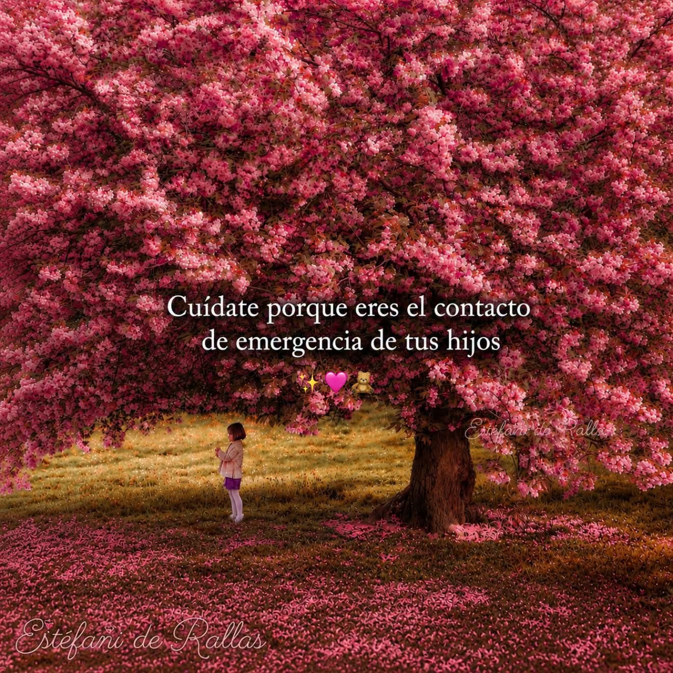 @Mᴀ́ɢɪᴄᴀVɪᴅᴀ