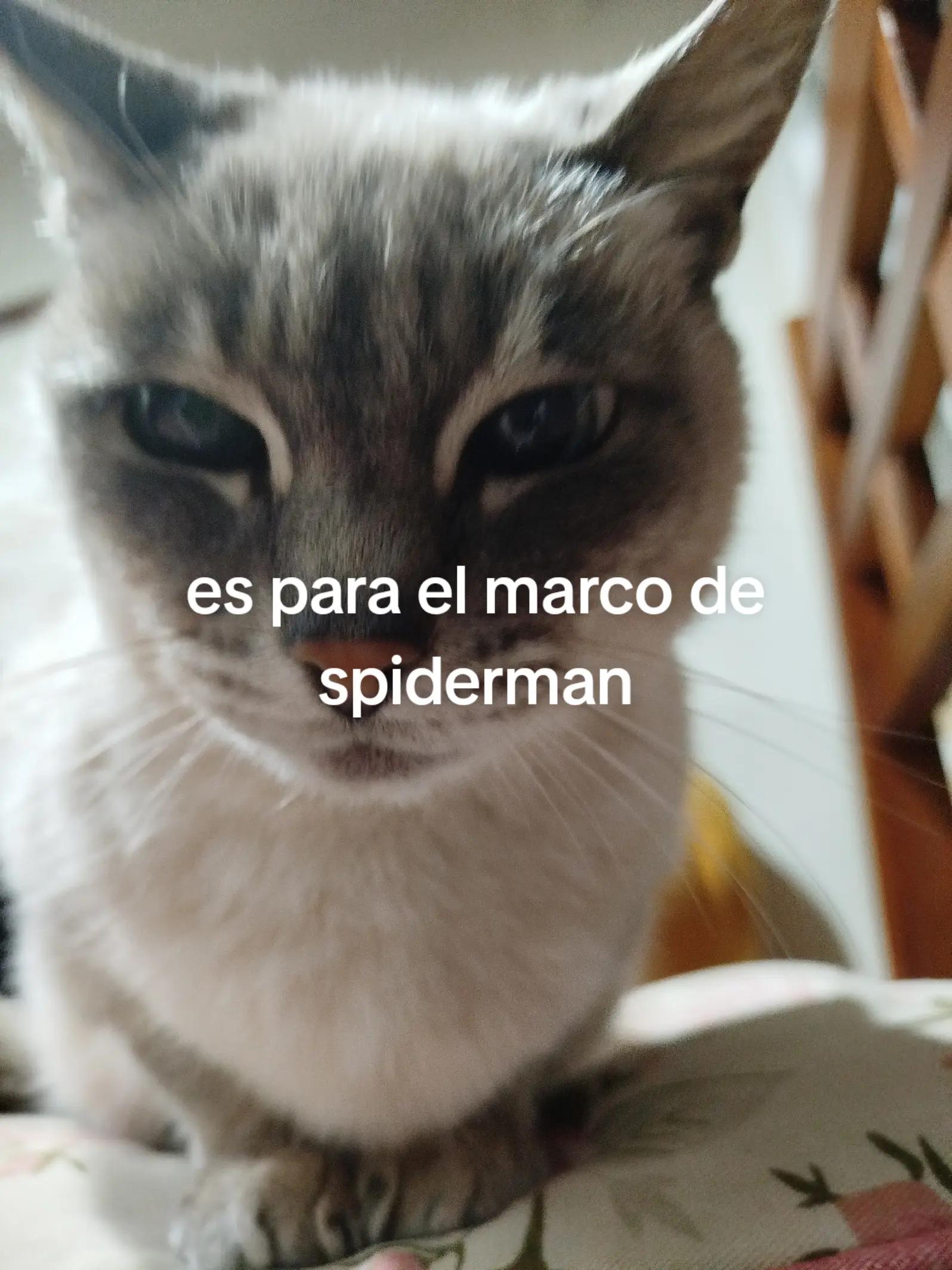 @NachoFLM • Folk • Siguiendo