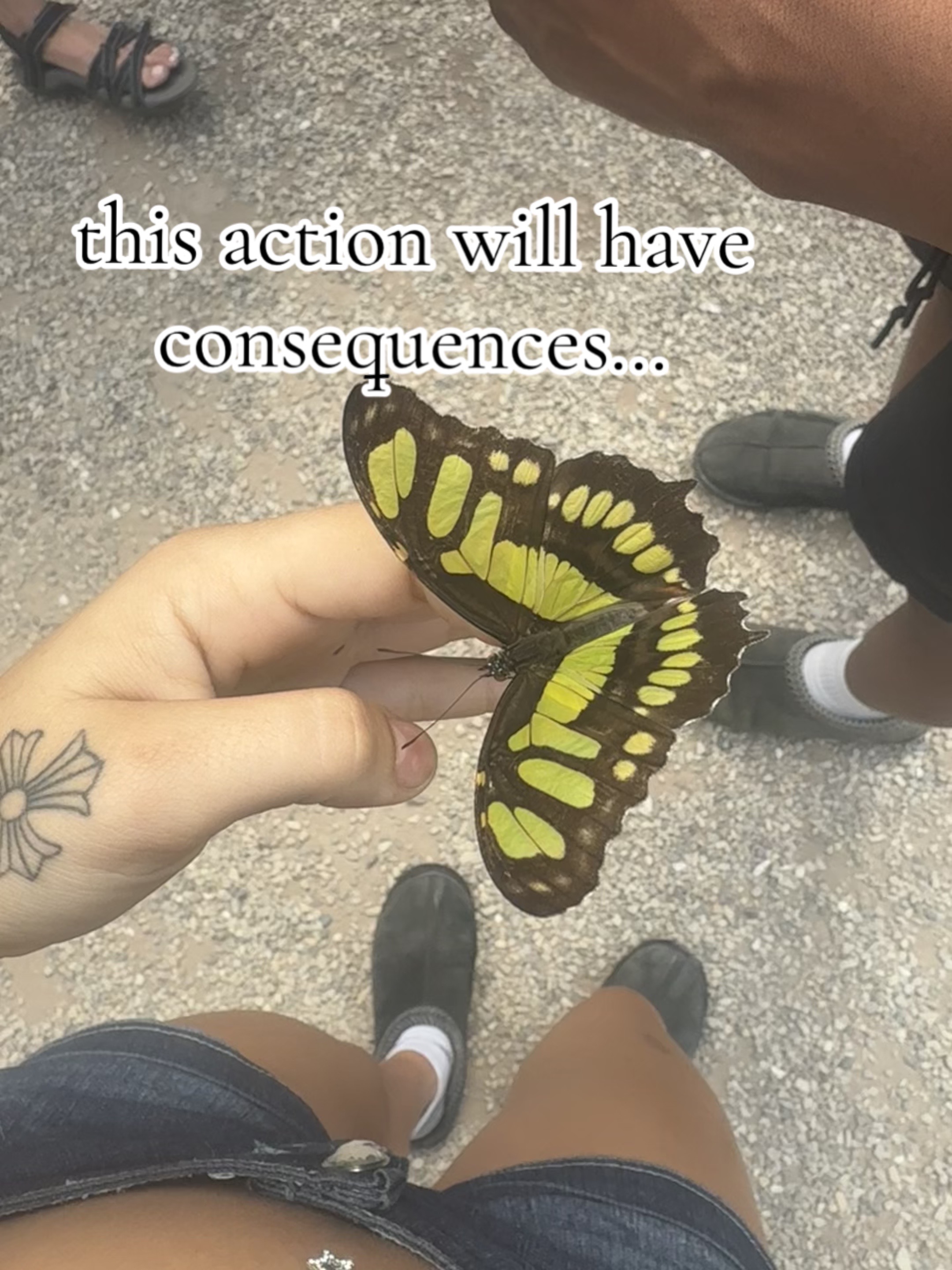 @Madi