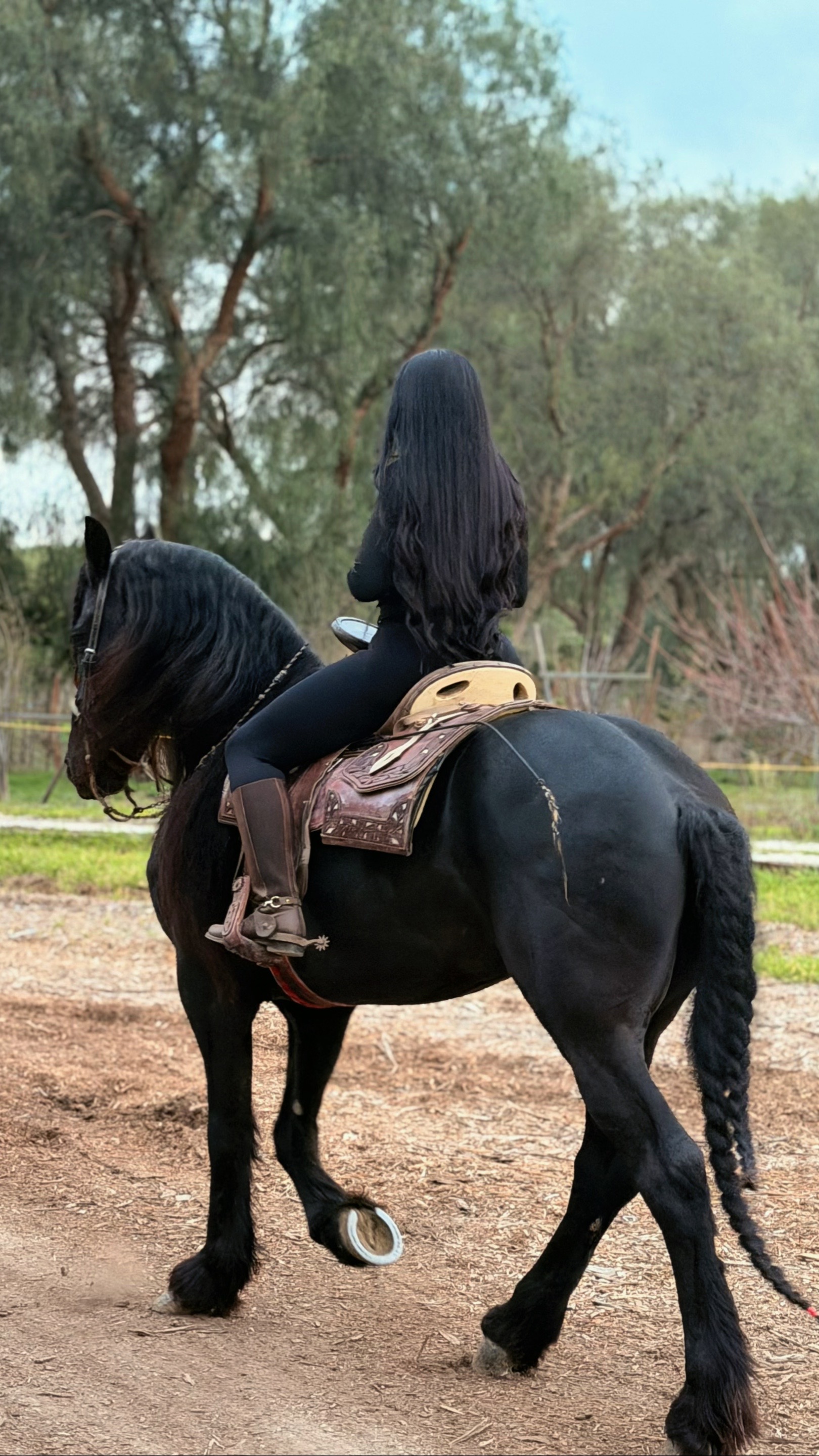 @Señorita De La O ♡