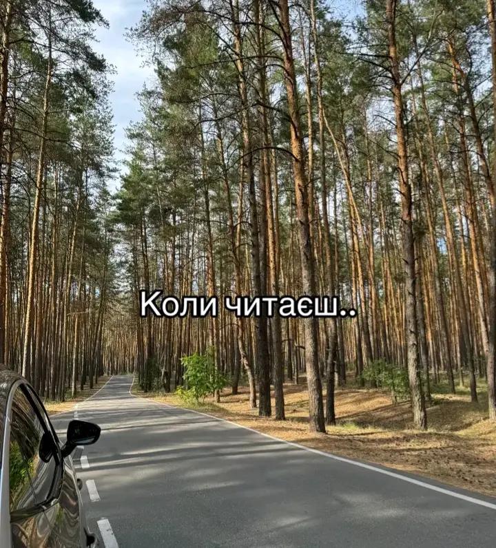 @koliapopovich
