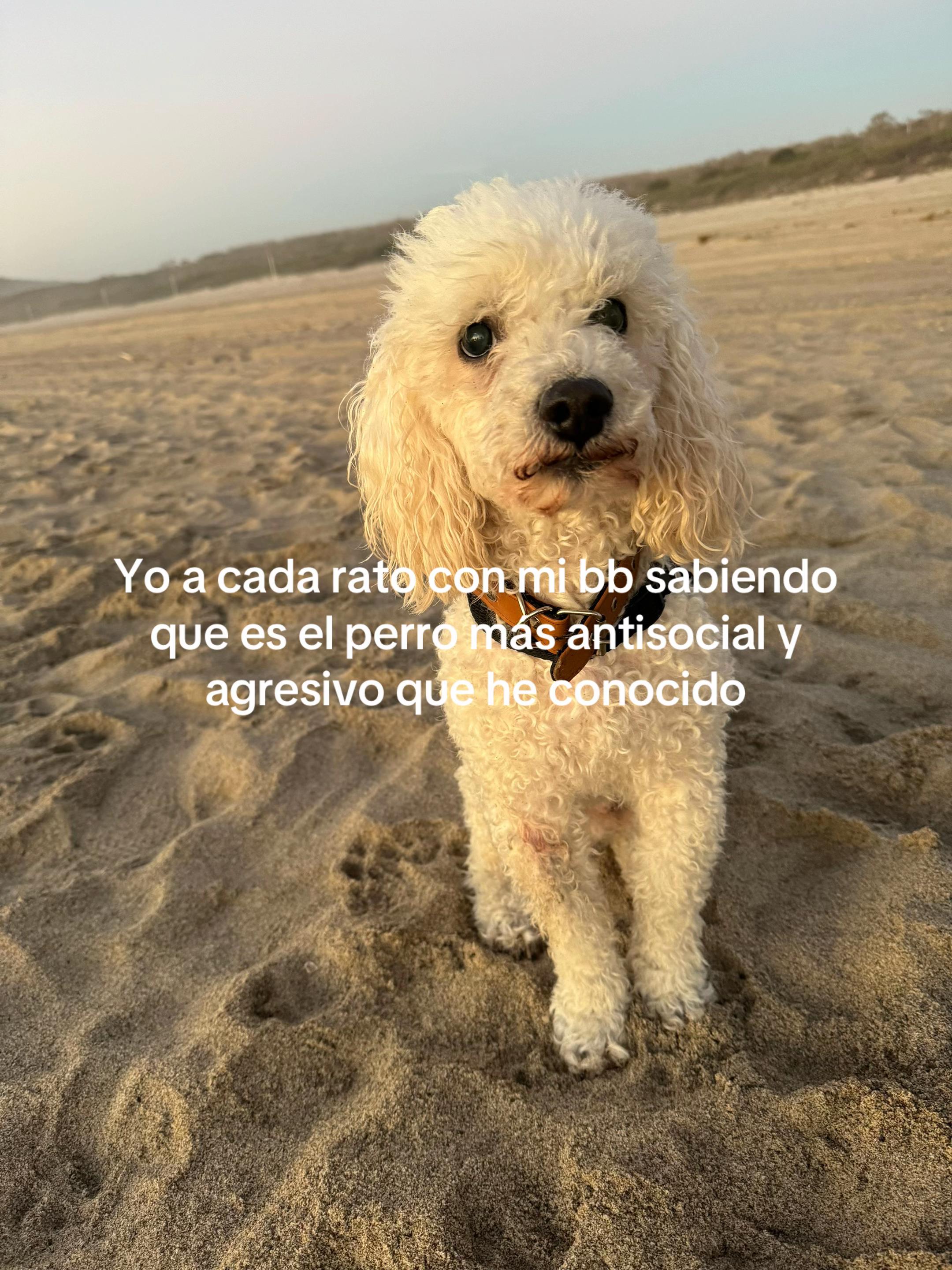 @maripau maar