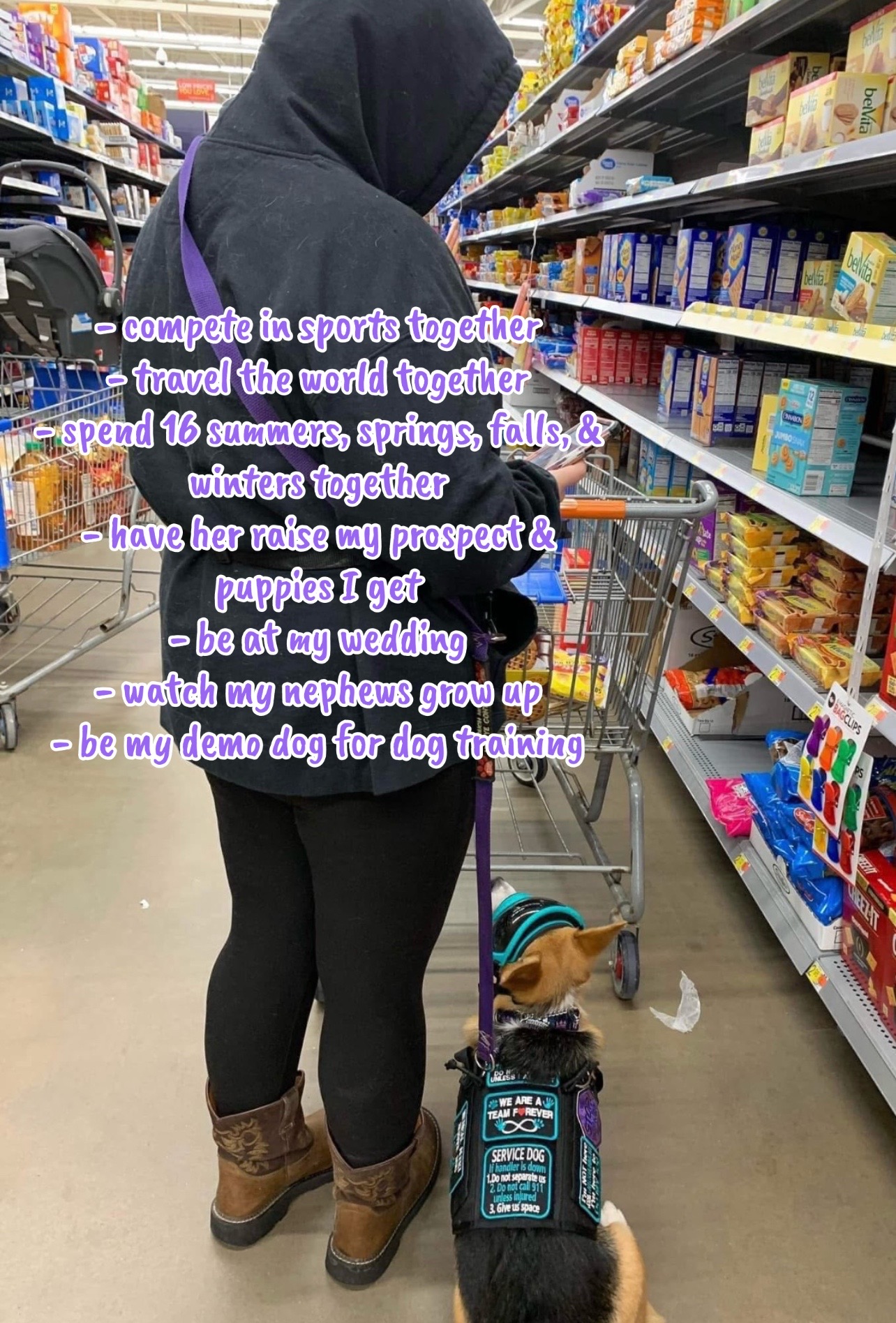 @Upsidedown&Above_corgis