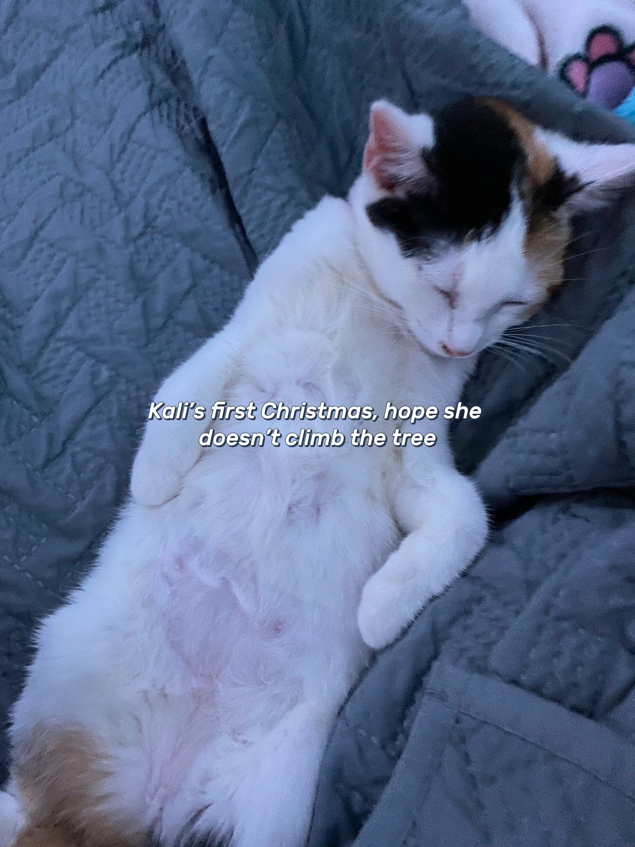 @Slippy