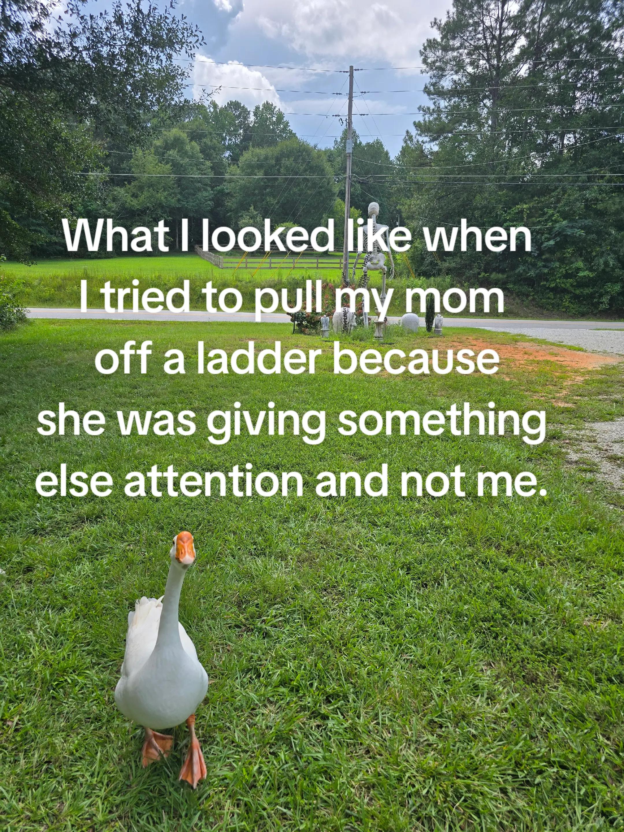 @Skeletonsonbeaverpond❌️🦆☠️