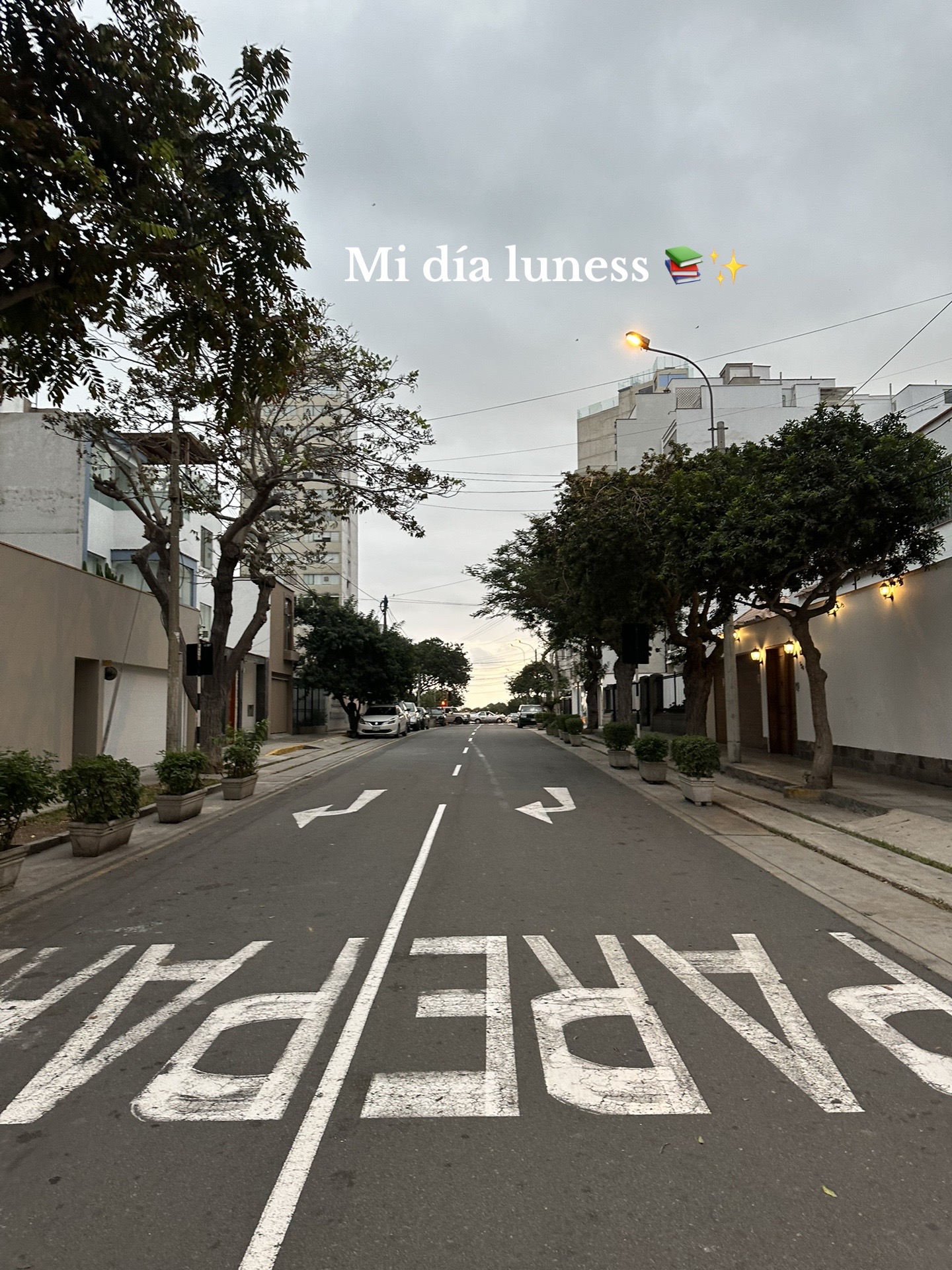 @Mafer