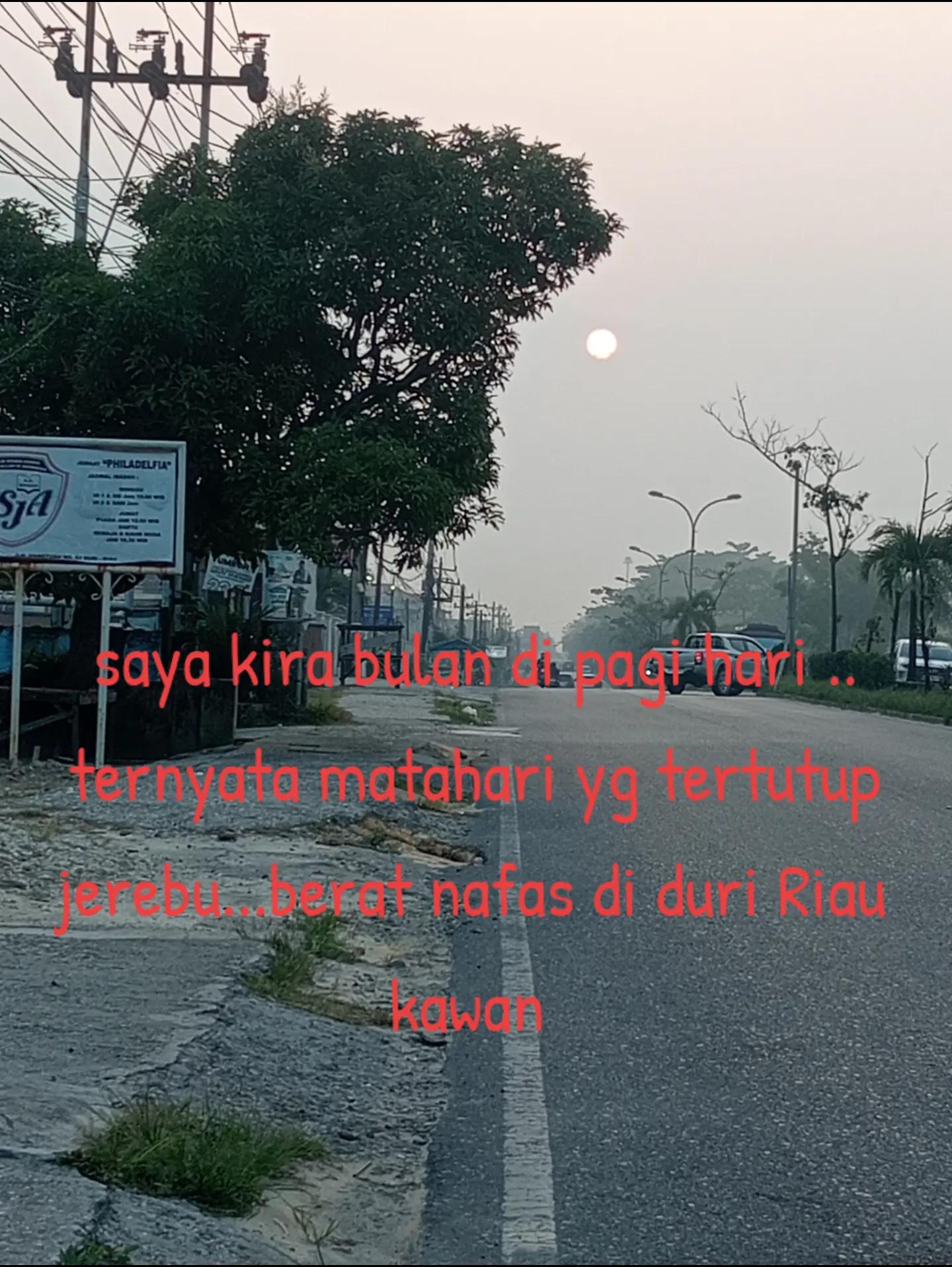 @son1980