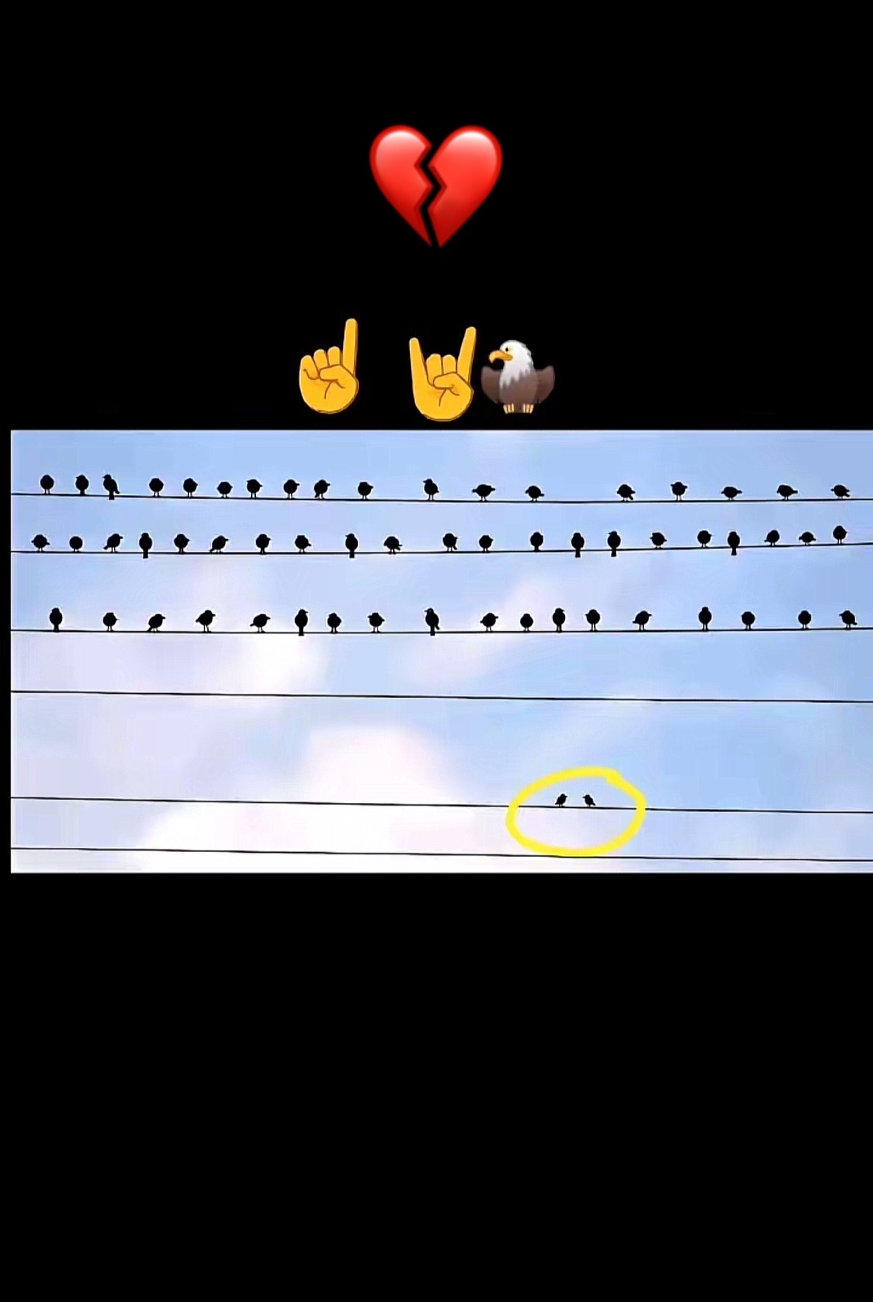 @ɨֆʀǟʀ քǟֆɦȶօօռ