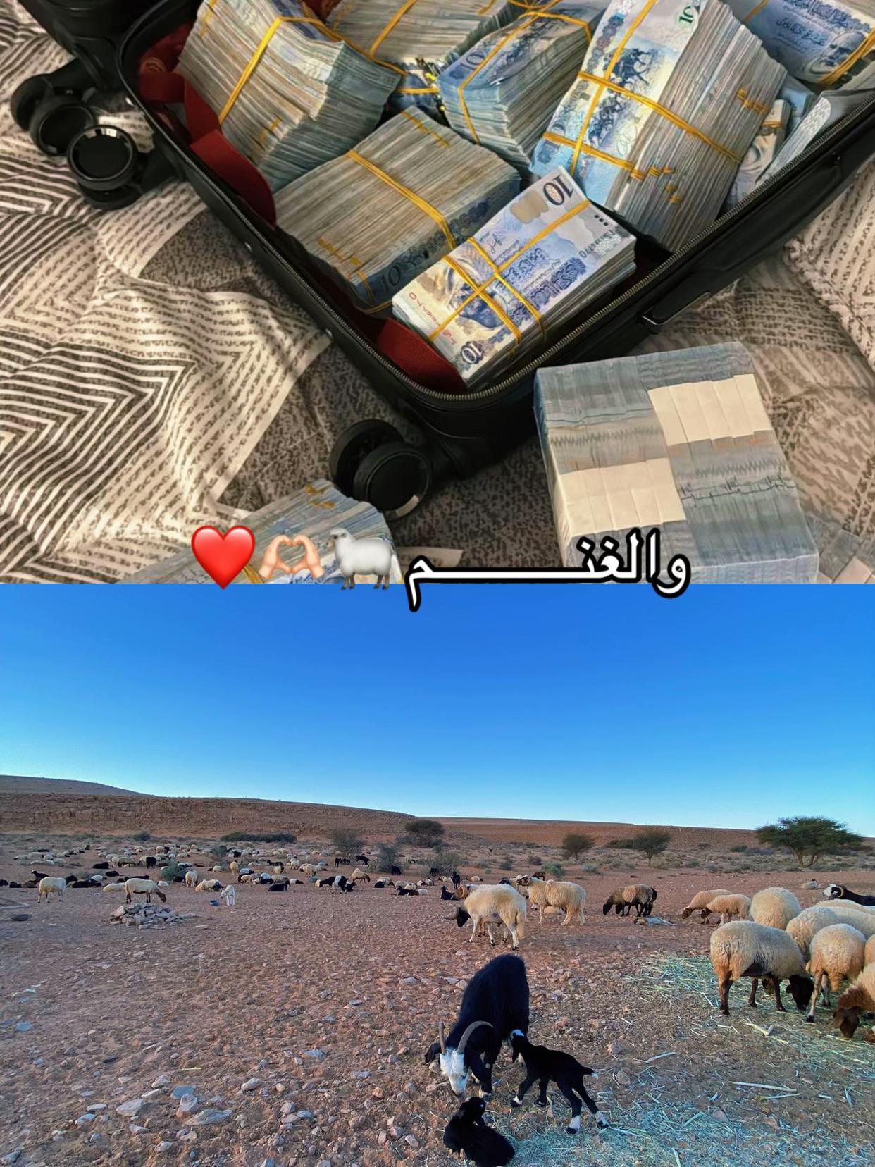 @ 𝓷𝓸𝓯𝓪 || نۨــوُفــا