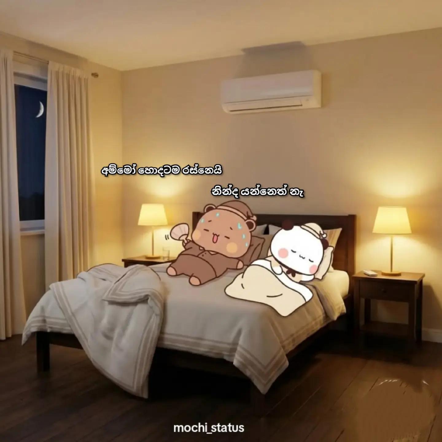 @<мσ¢нι ѕтαтυѕ🐼🤍