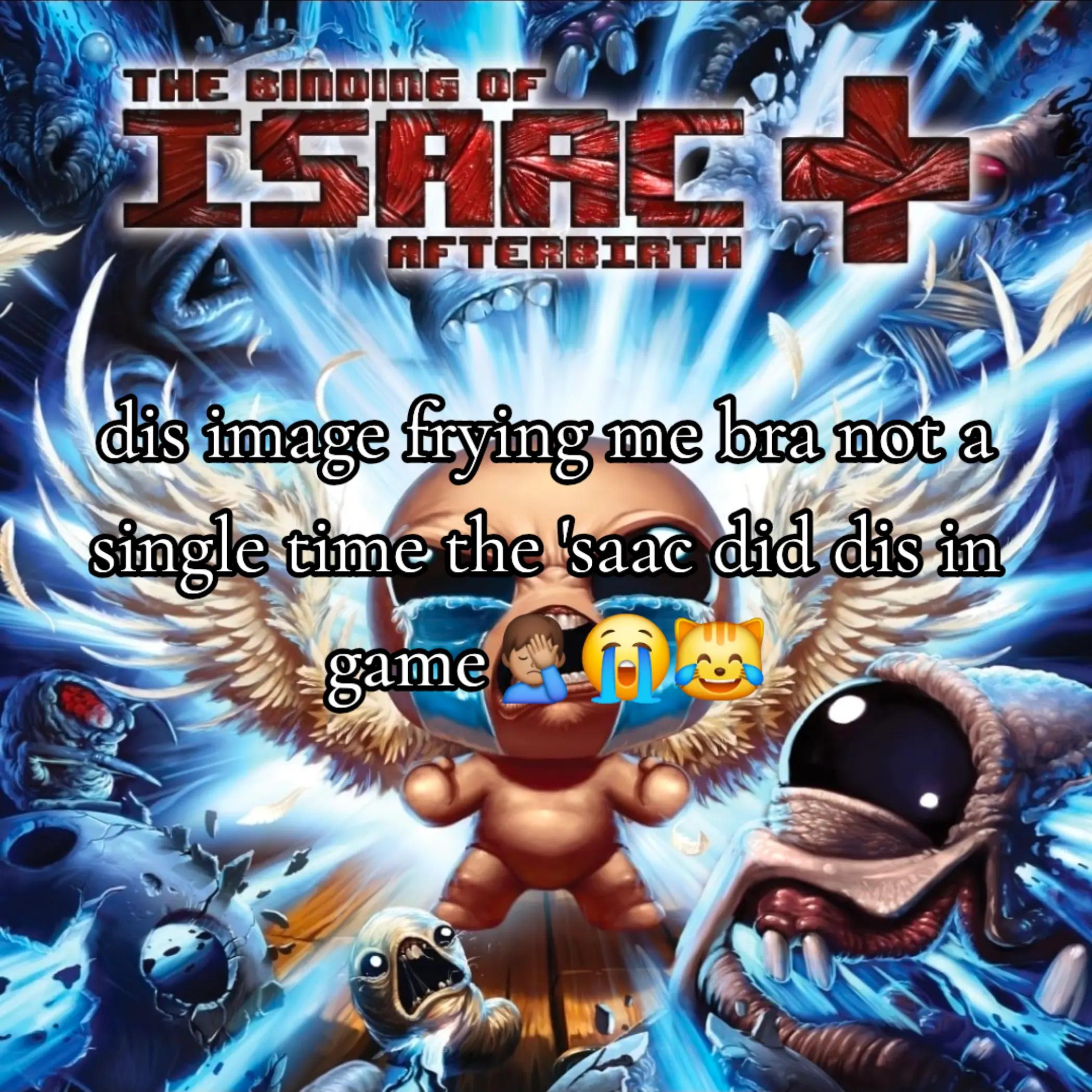 @std figglehorn