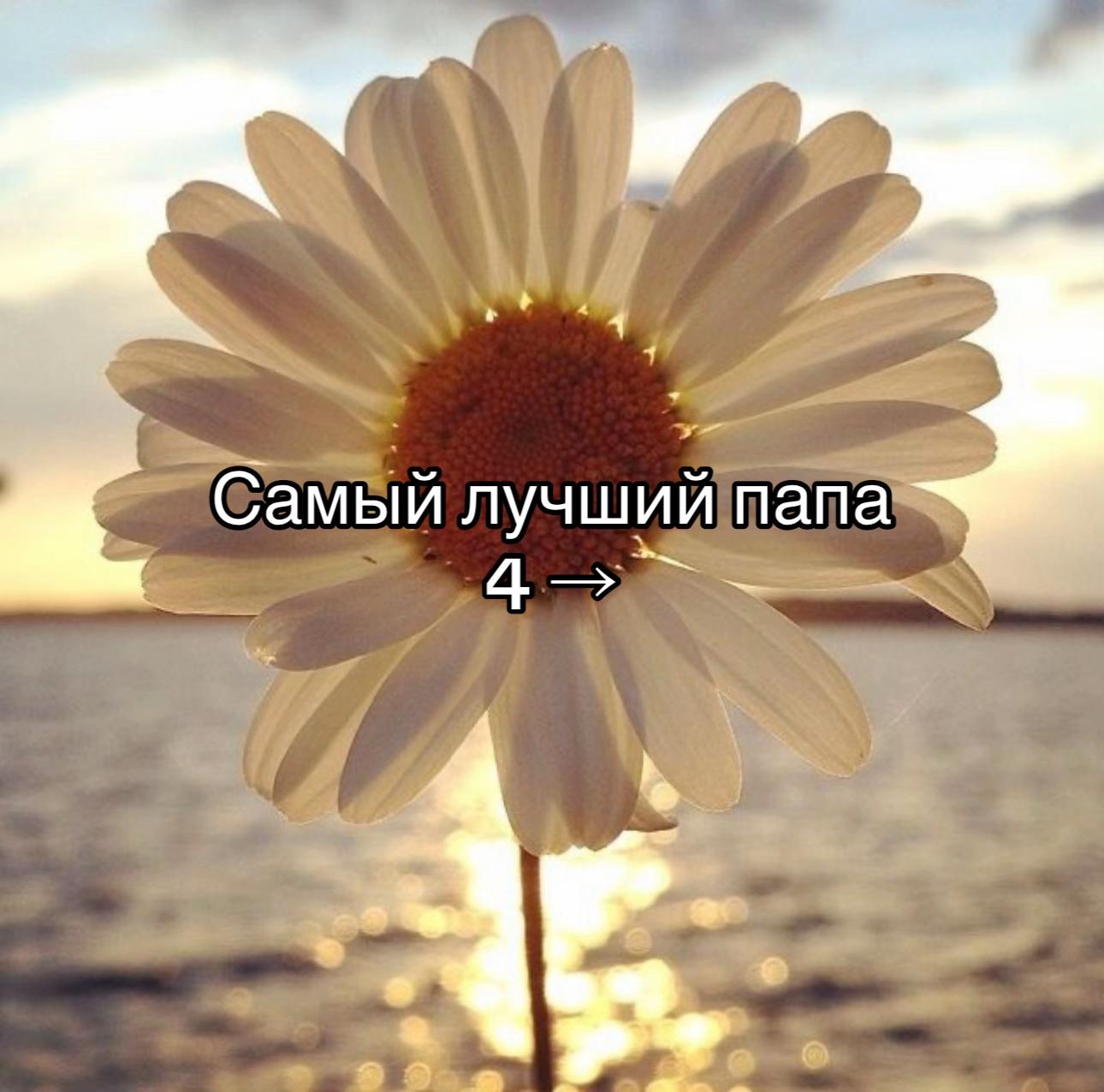 @🎧♡Alexandra♡🎧