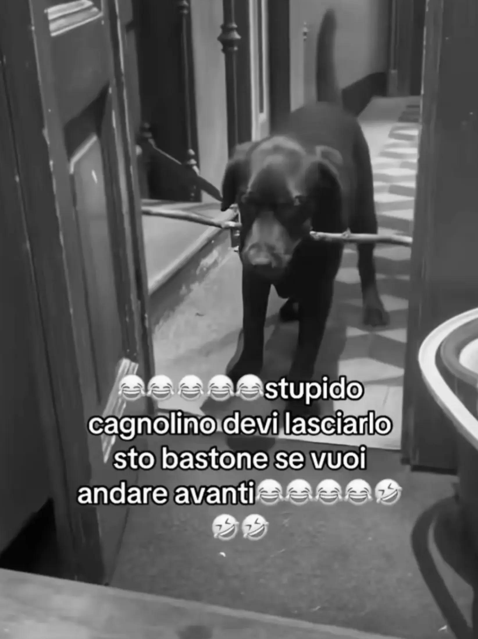 @🩵megghi🪐🧸🩵