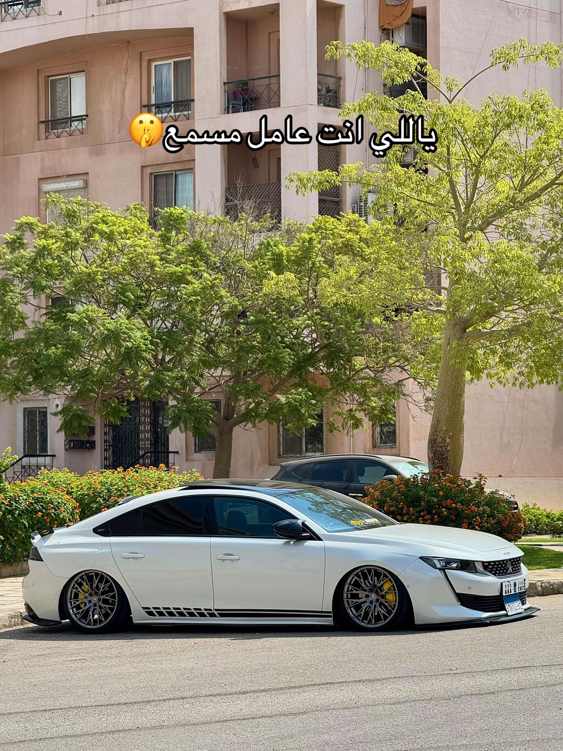 @Elzuuuuz