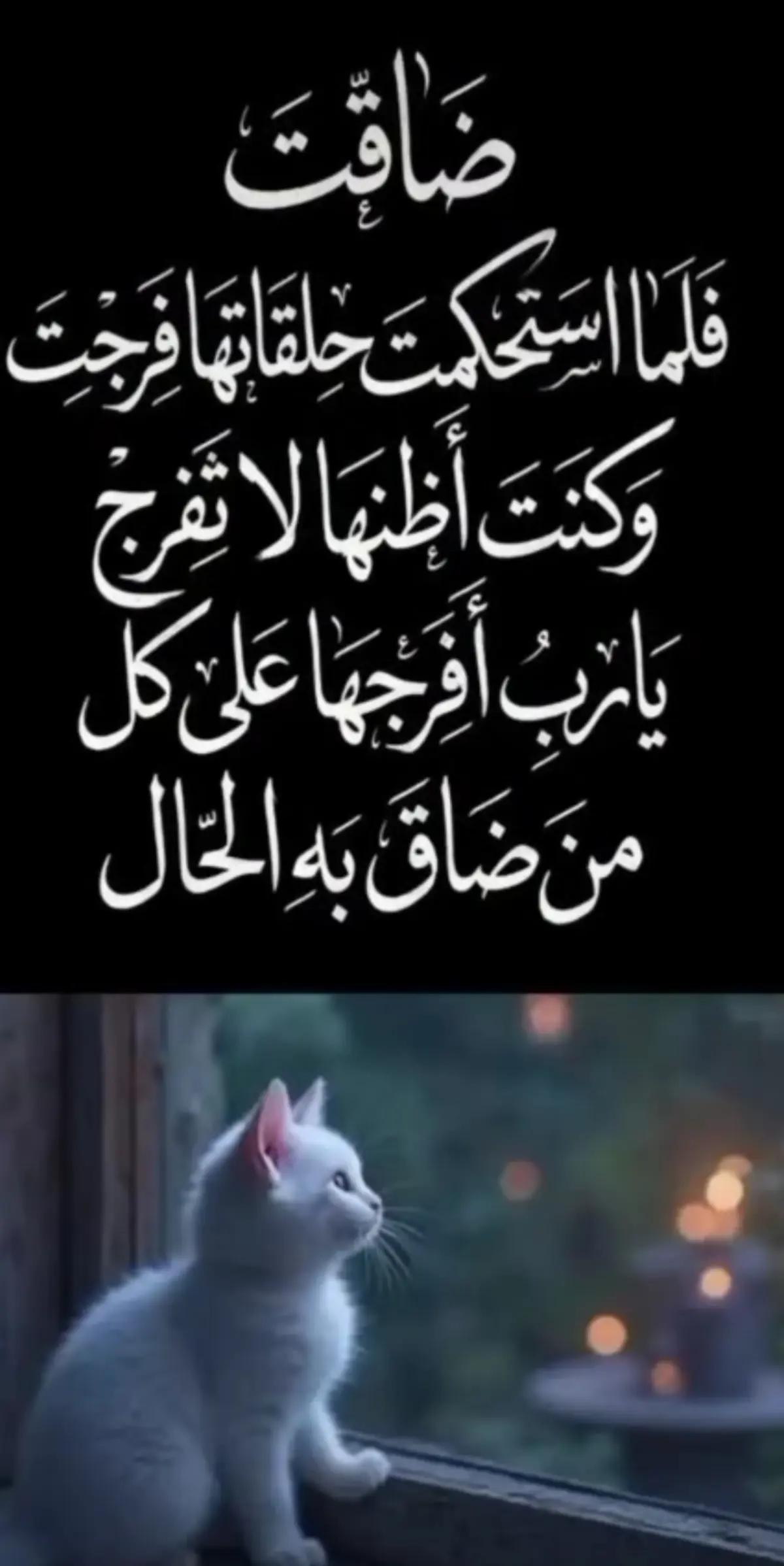 @واثقه بالله