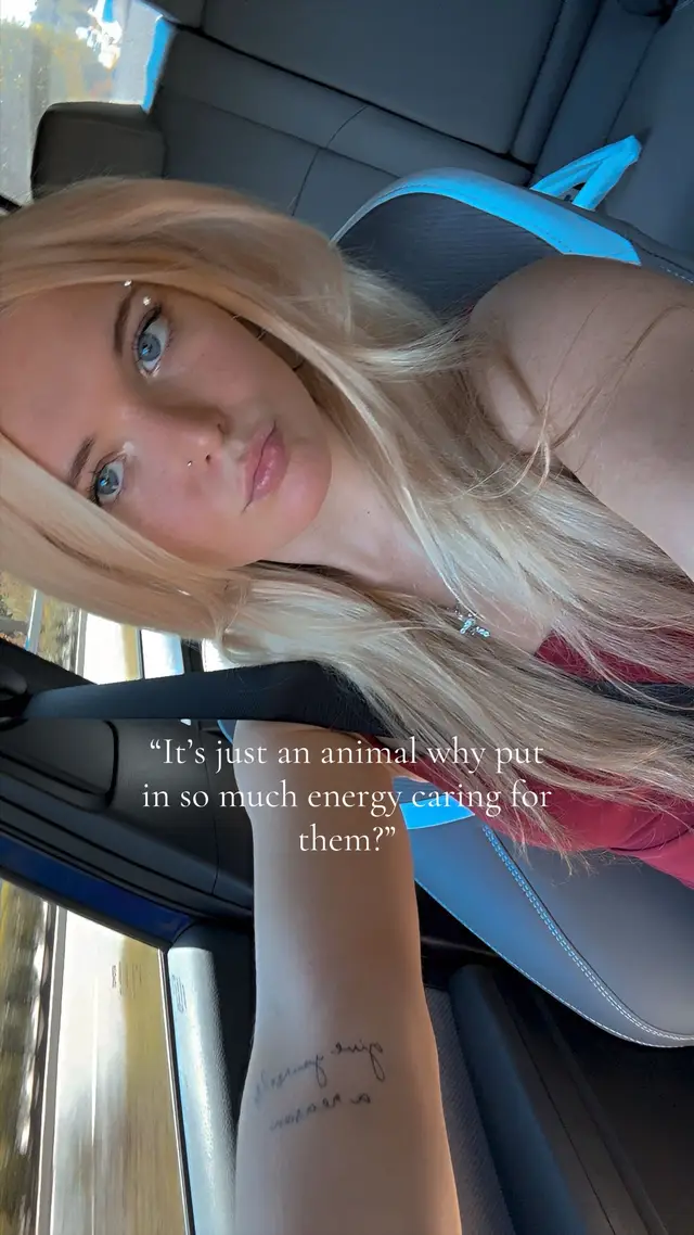 @shea.ray22