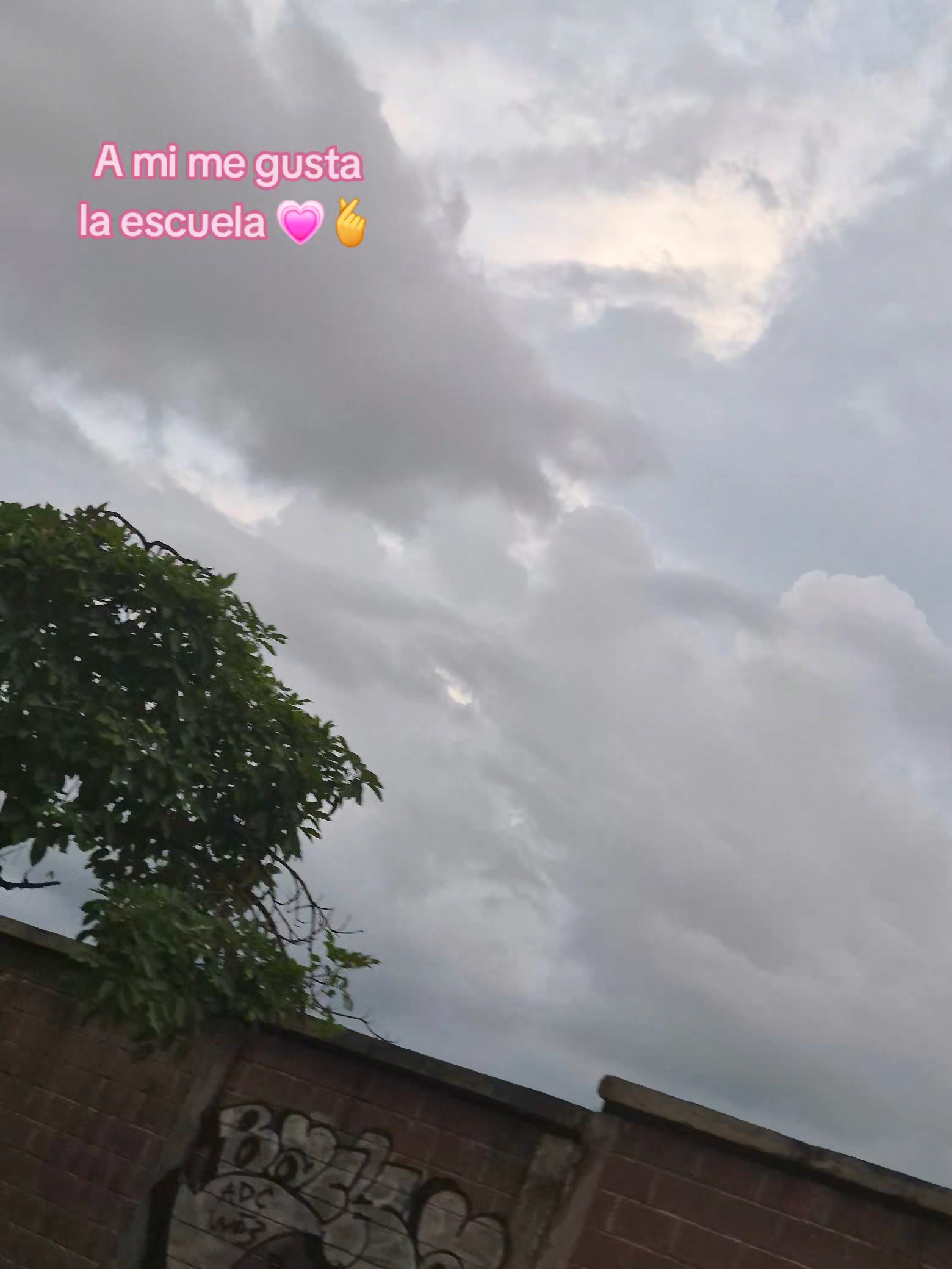@⋆꙳⸜⸜🎀 𝐉.𝐚𝐧𝐚_ 🎀⸝⸝꙳⋆