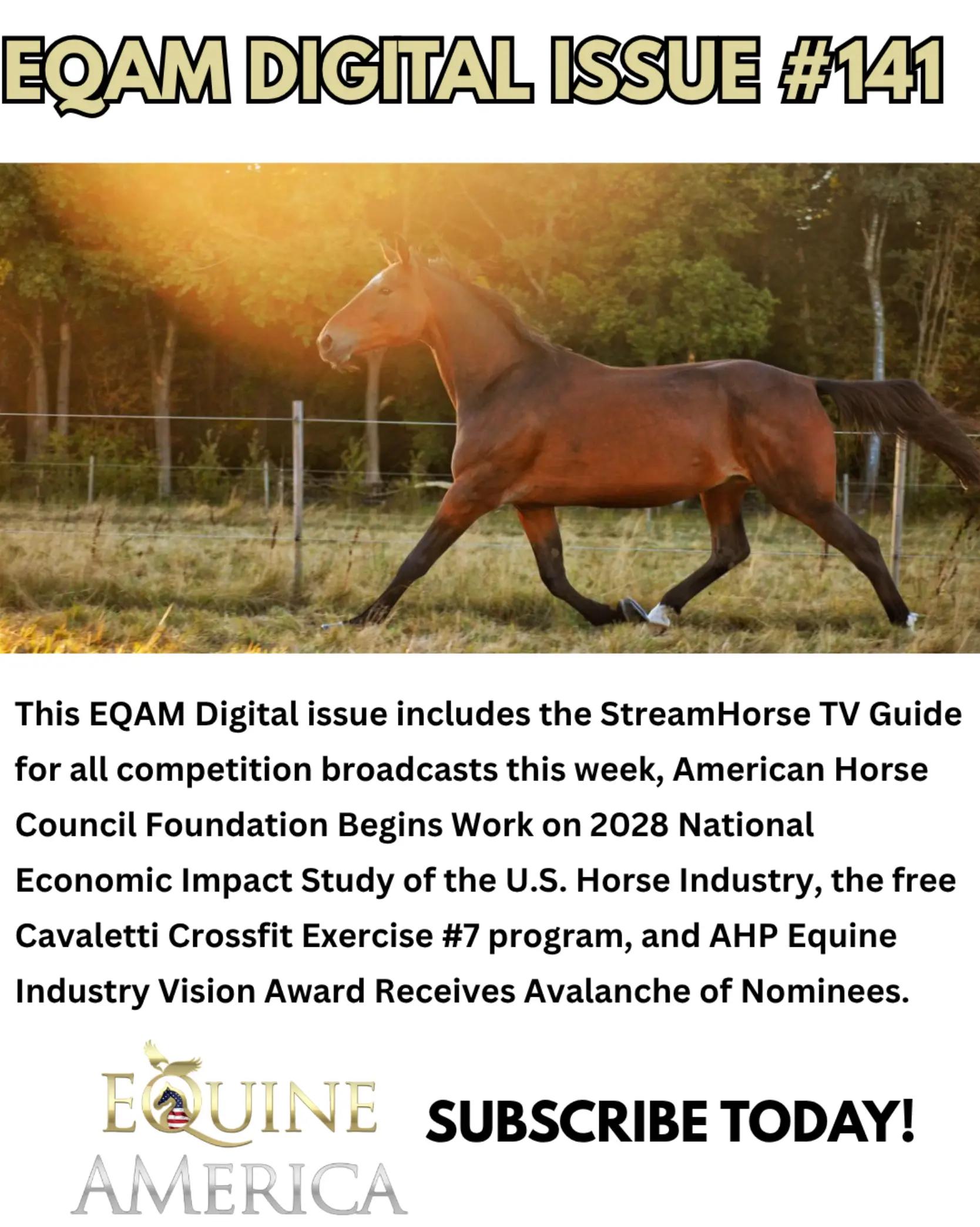 @streamhorse