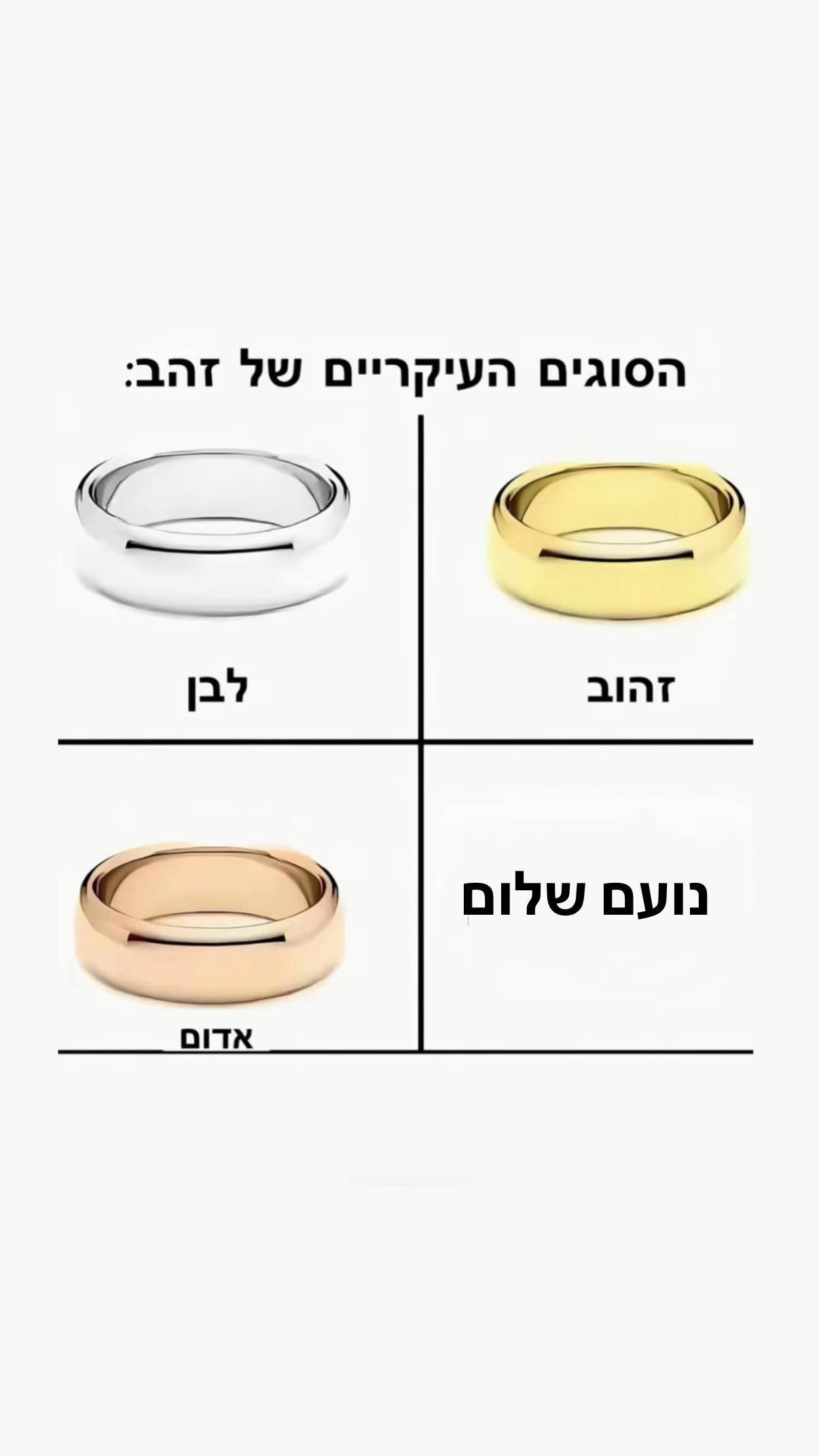 @tzevet_livne🤍🩵
