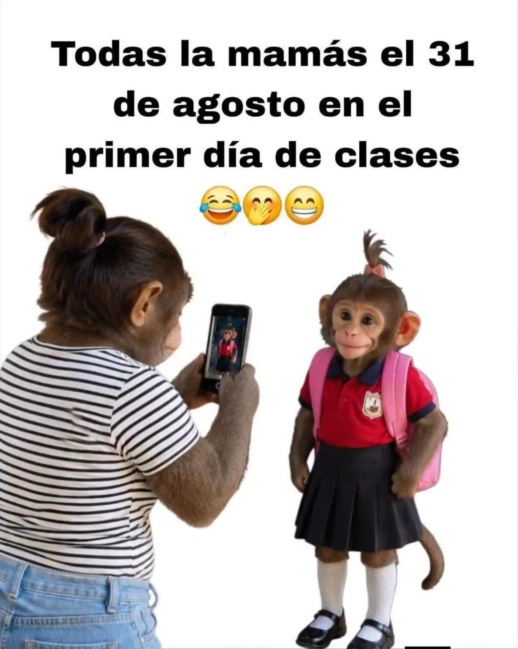 @Jesus De la Torre